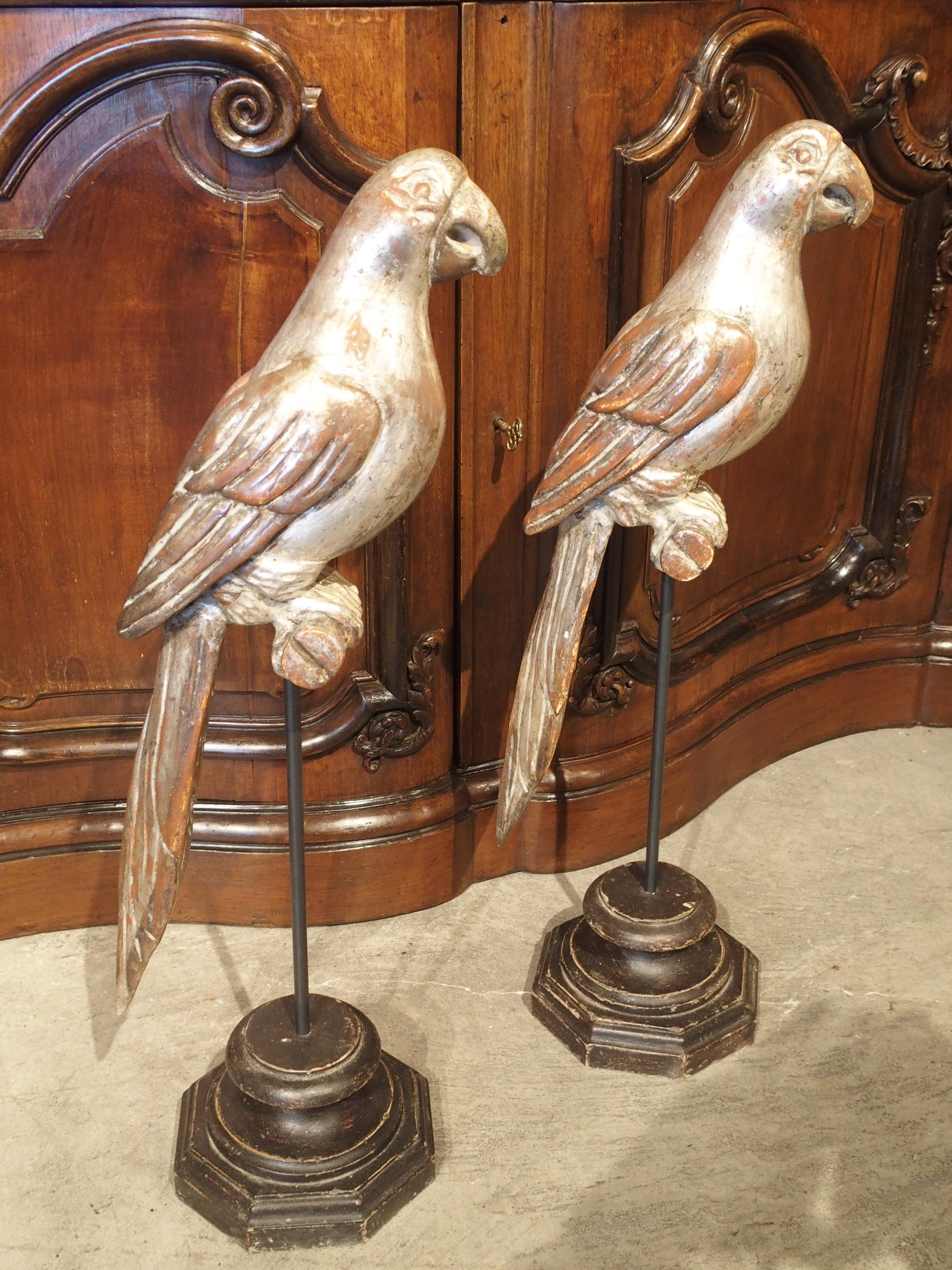 Pair of Carved and Silvered Italian Parrots on Stands, 20th Century 4