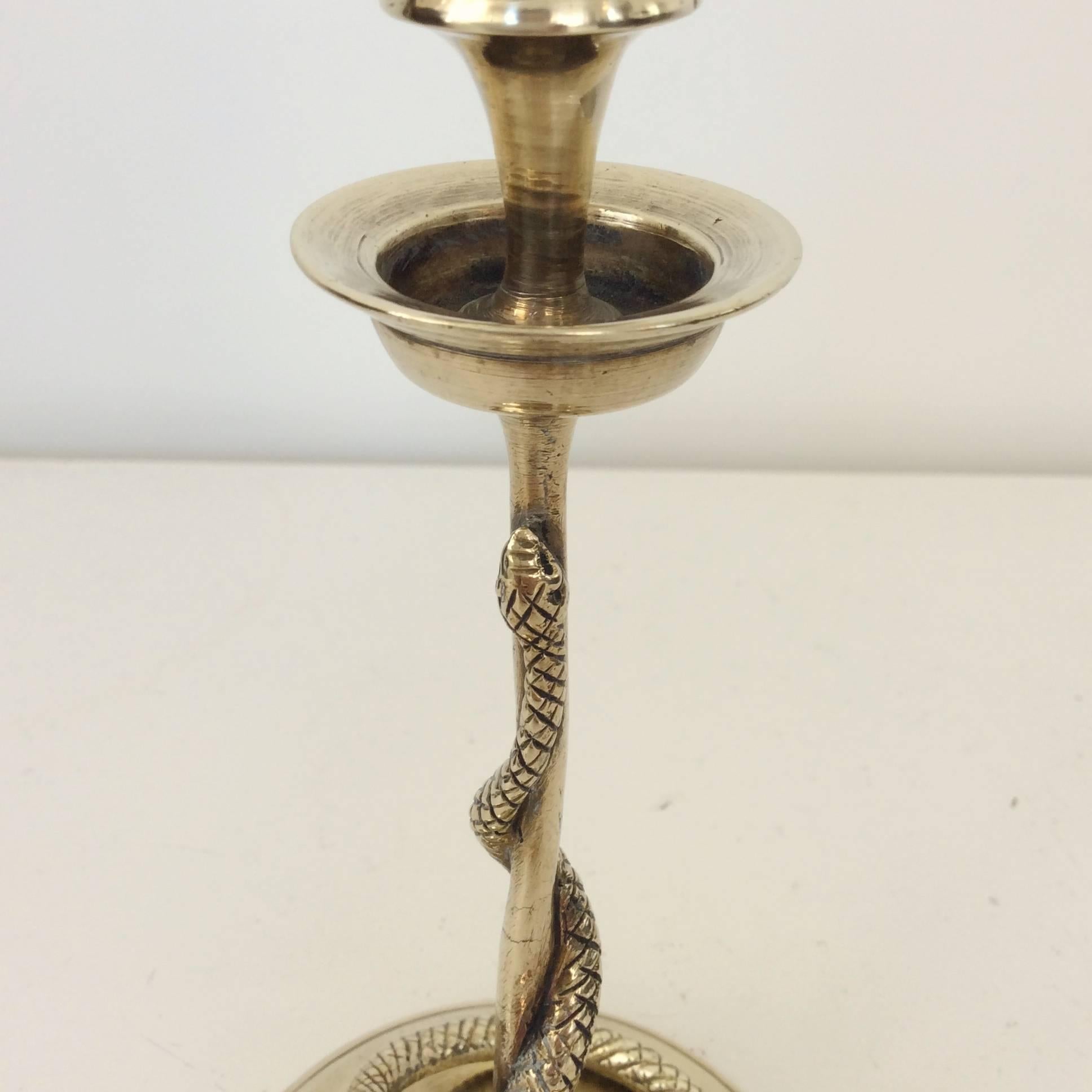 French Pair of Carved Brass Snake Candleholders, France