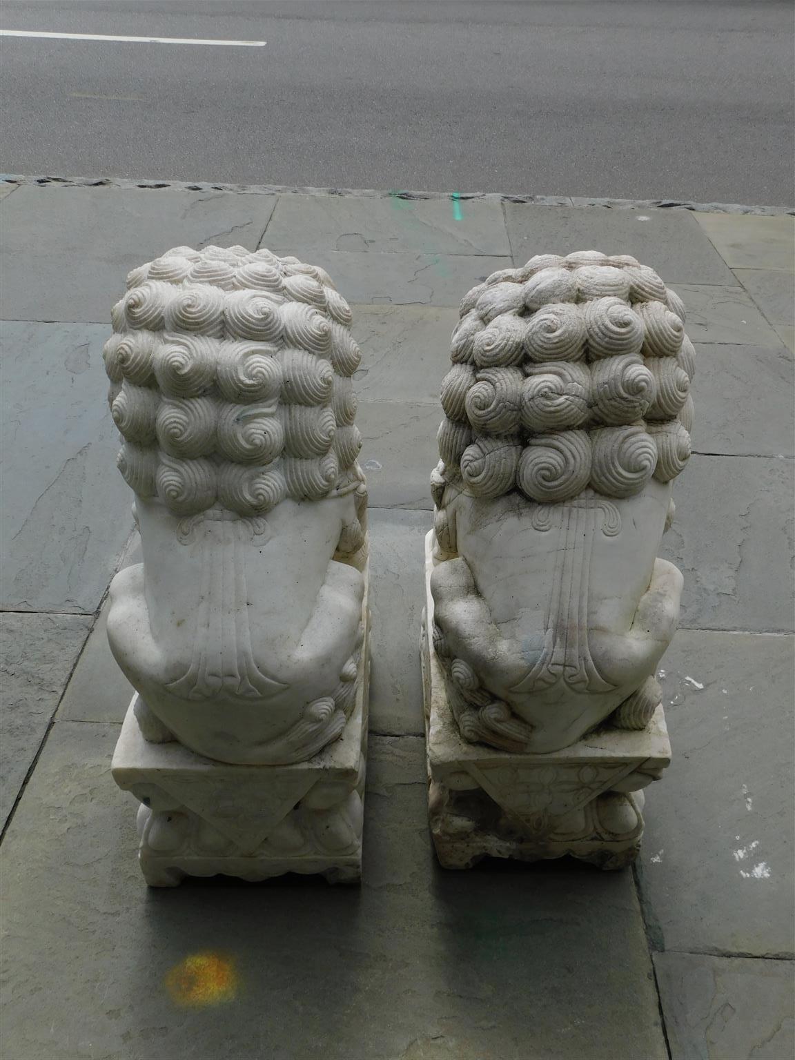 Pair of Chinese Carved Marble Foo Dogs Sitting on Decorative Plinths, 20th Cent 7