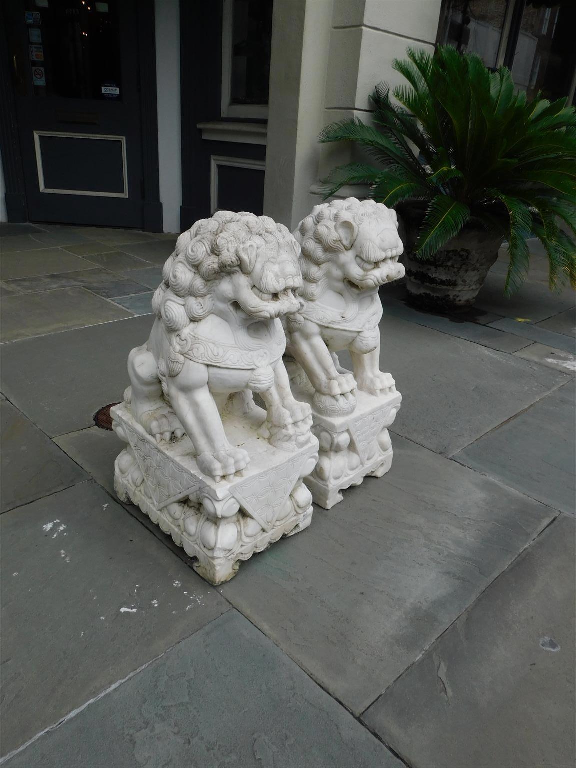 Pair of Chinese hand carved marble Foo dogs sitting on rectangular decorative carved plinths. Early 20th century.