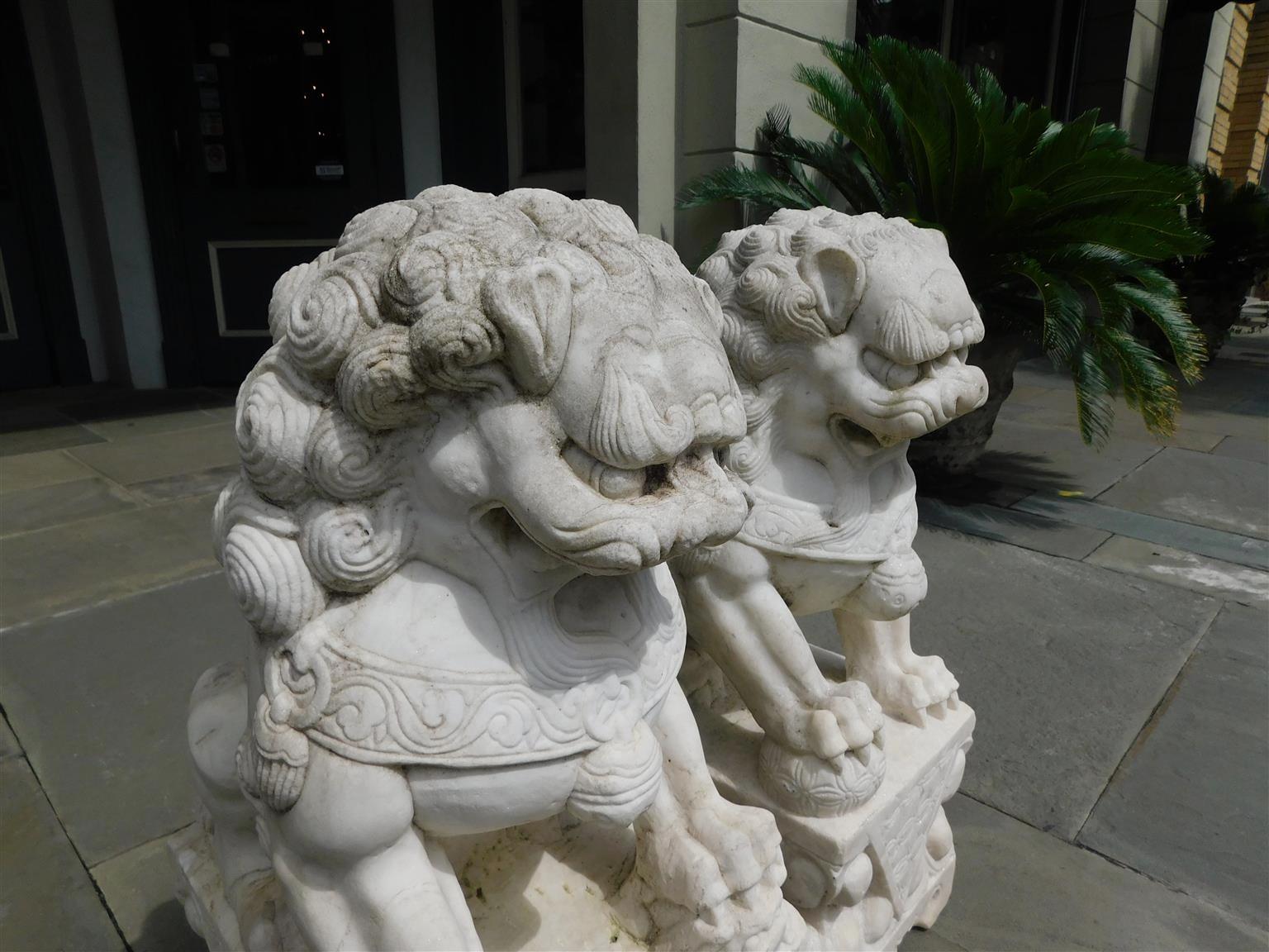 Pair of Chinese Carved Marble Foo Dogs Sitting on Decorative Plinths, 20th Cent In Excellent Condition In Hollywood, SC