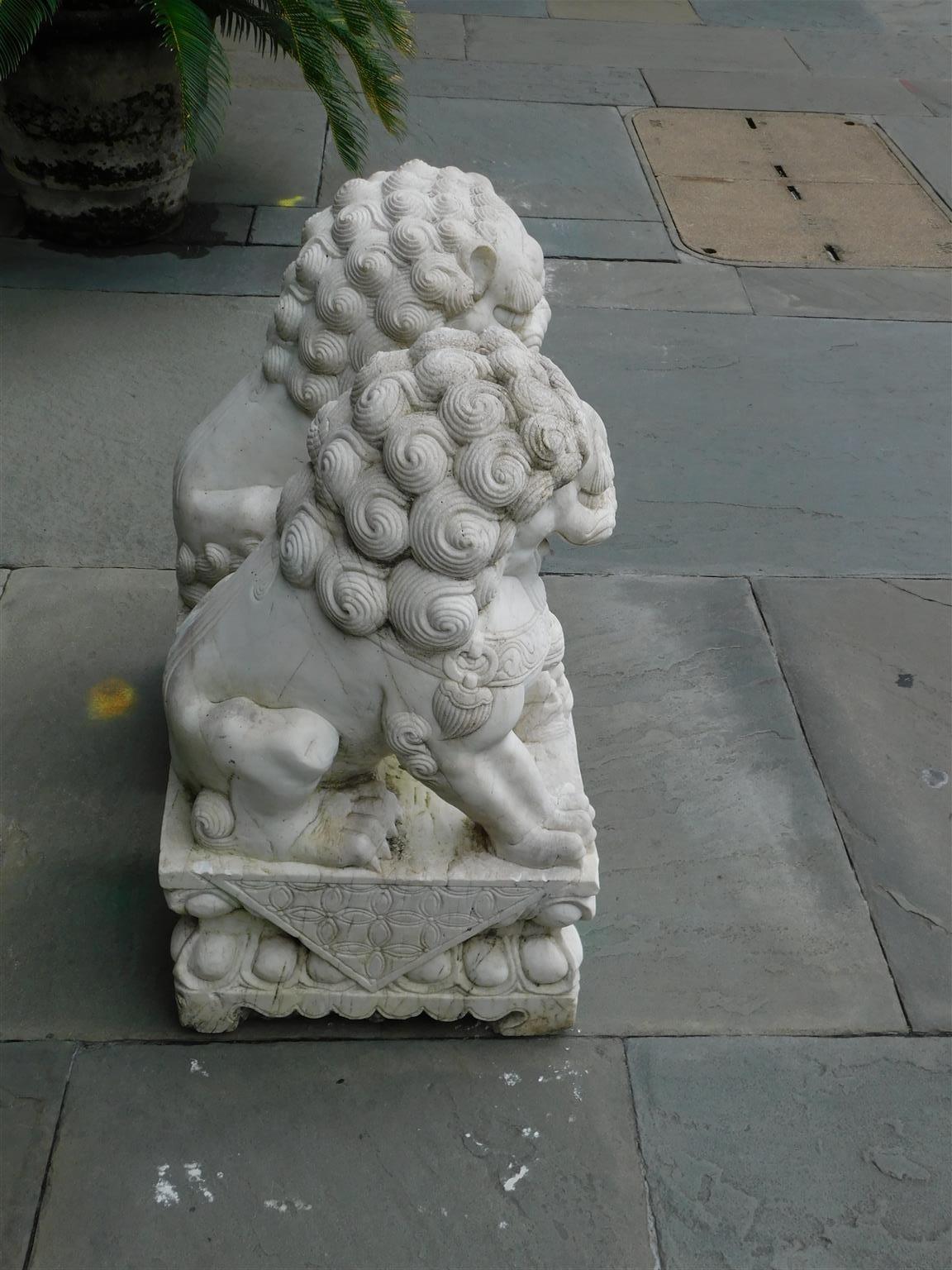 Pair of Chinese Carved Marble Foo Dogs Sitting on Decorative Plinths, 20th Cent 1