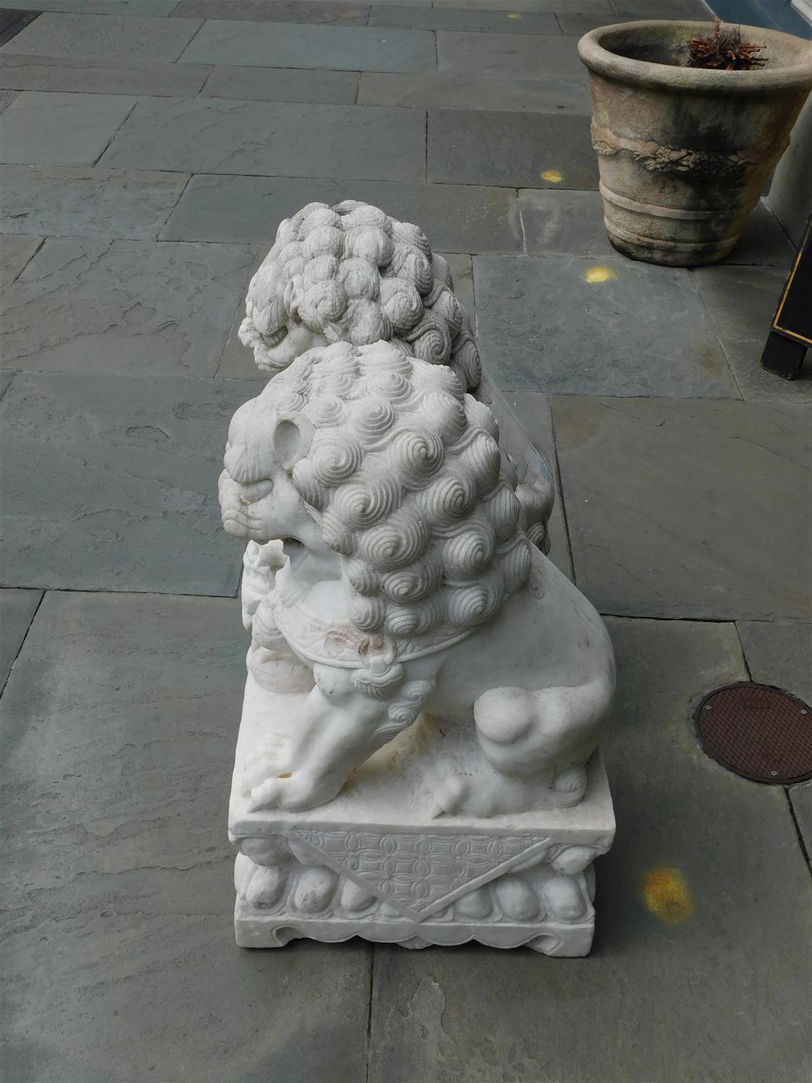 Pair of Chinese Carved Marble Foo Dogs Sitting on Decorative Plinths, 20th Cent 2