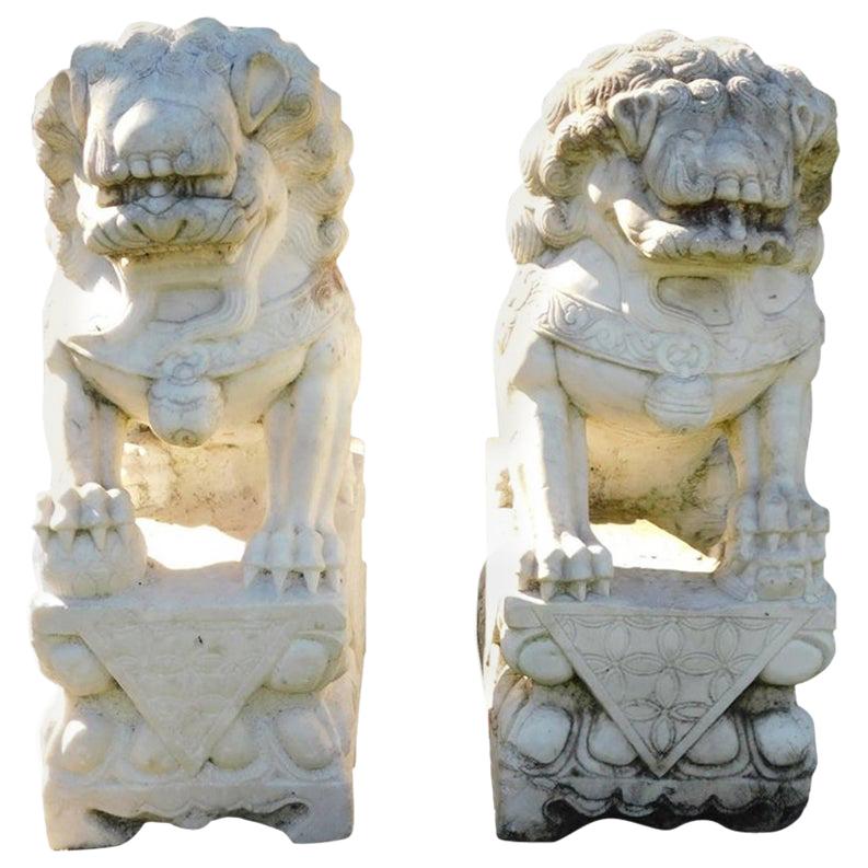 Pair of Carved Chinese Marble Foo Dogs Sitting on Decorative Plinths, 20th Cent