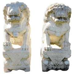 Pair of Carved Chinese Marble Foo Dogs Sitting on Decorative Plinths, 20th Cent