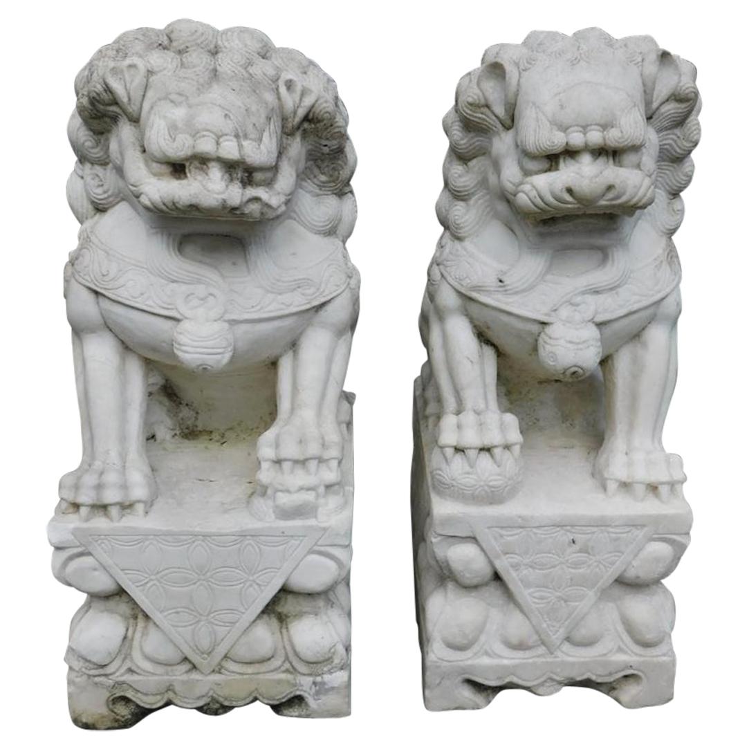 Pair of Chinese Carved Marble Foo Dogs Sitting on Decorative Plinths, 20th Cent