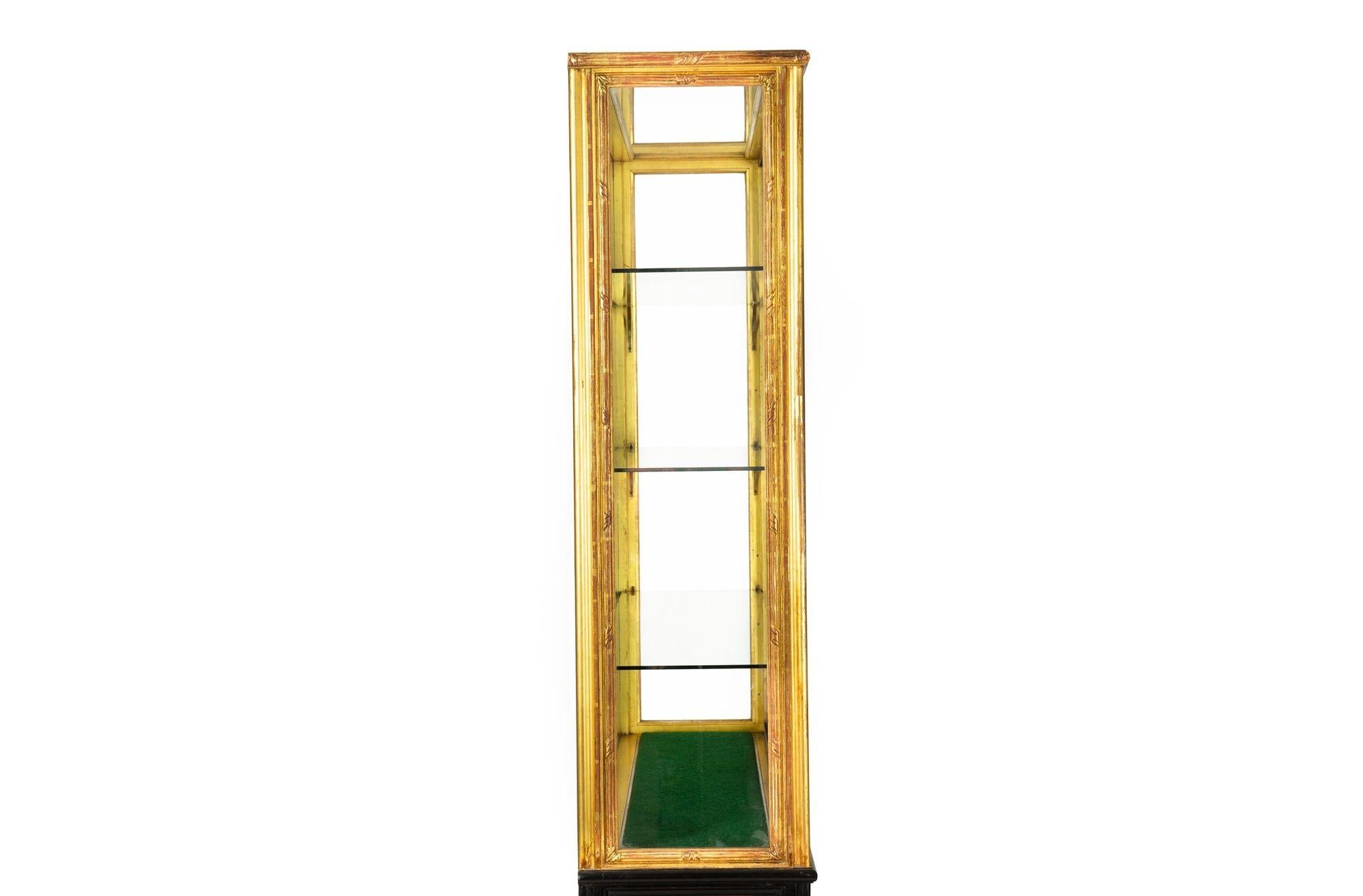 Pair of Carved Giltwood Antique Collector Display Cabinets by M. Grieve Co. For Sale 9