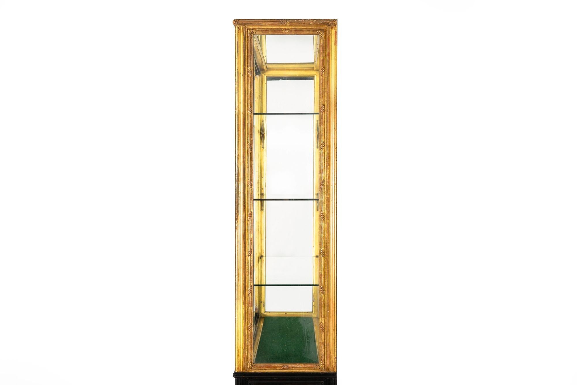 Pair of Carved Giltwood Antique Collector Display Cabinets by M. Grieve Co. For Sale 10