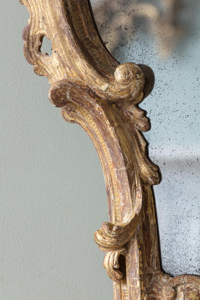Intagliato Coppia di specchi in legno dorato intagliato, XVIII secolo in vendita