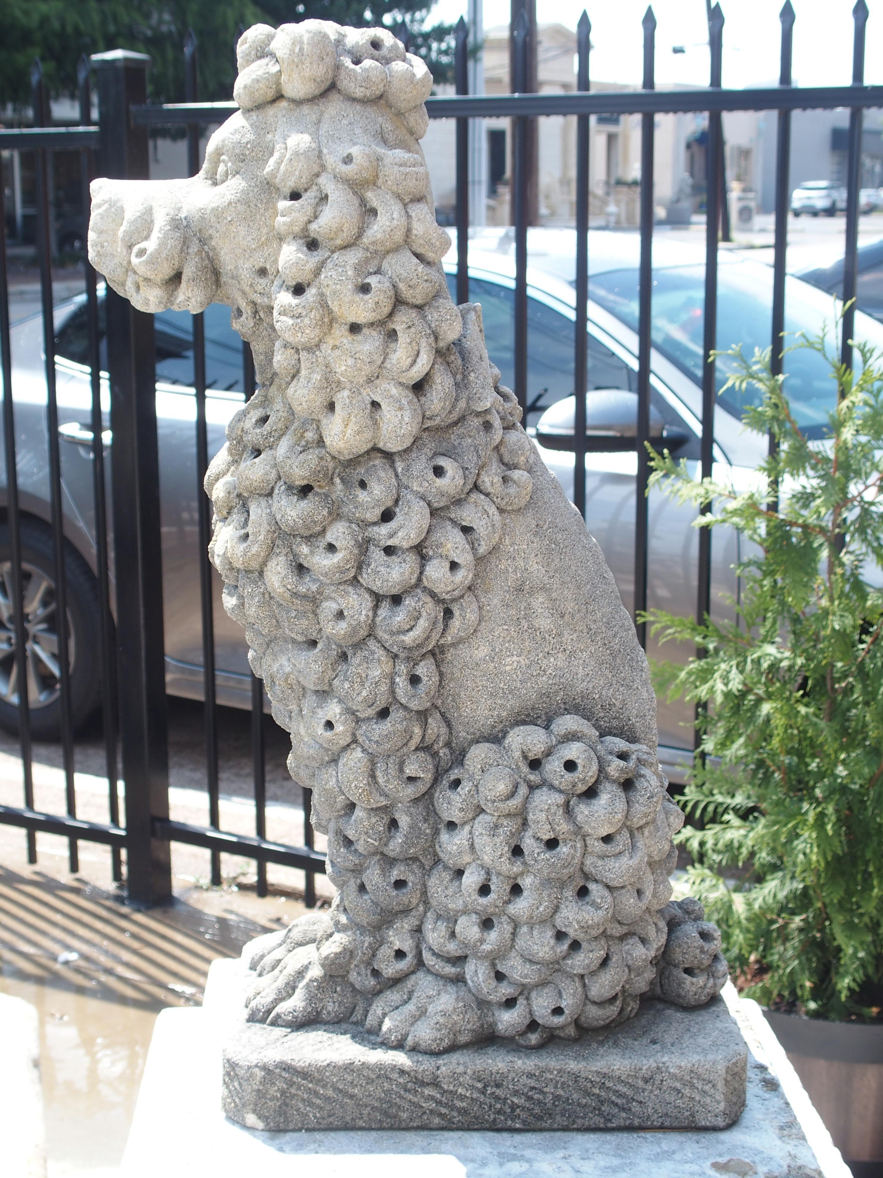 Pair of Carved Limestone Poodles from Italy 11