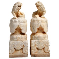 Pair of Carved Marble Fu Dogs on Pedestal