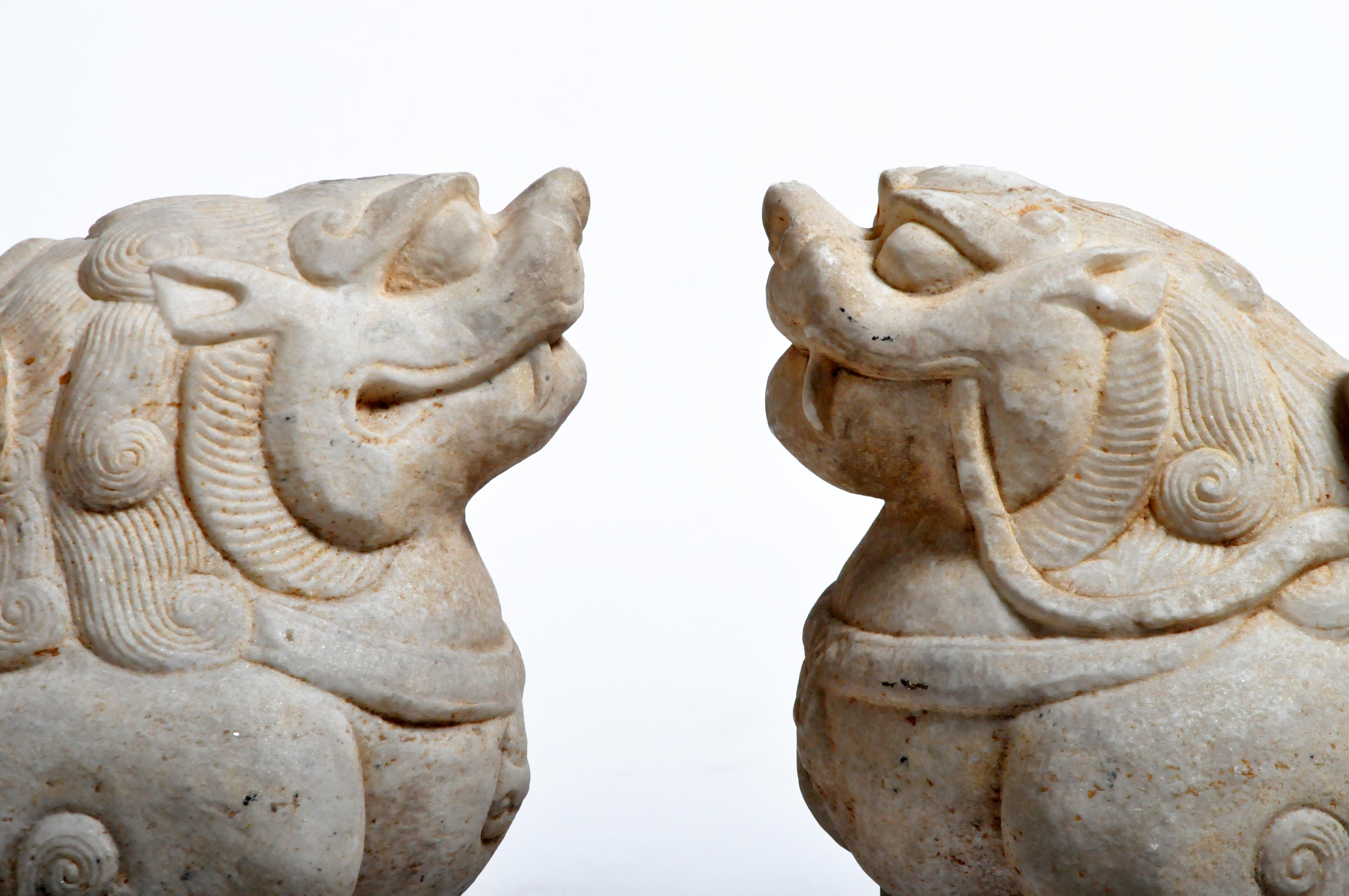Pair of Carved Marble Fu Dogs on Pedestals 5