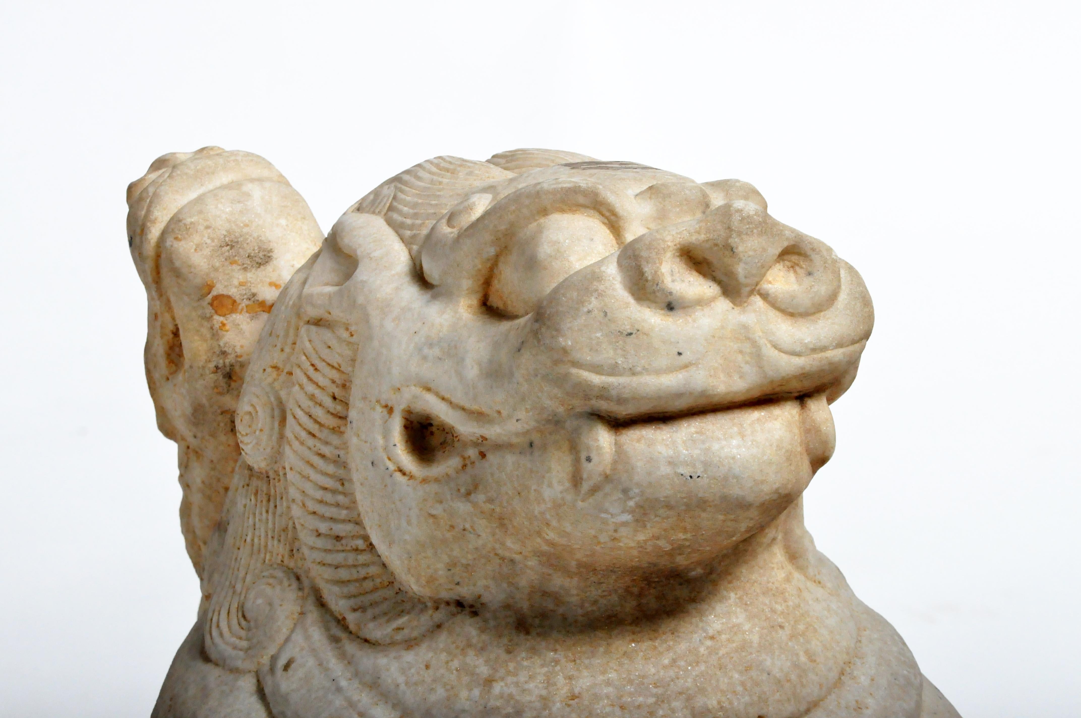 Contemporary Pair of Carved Marble Fu Dogs on Pedestals