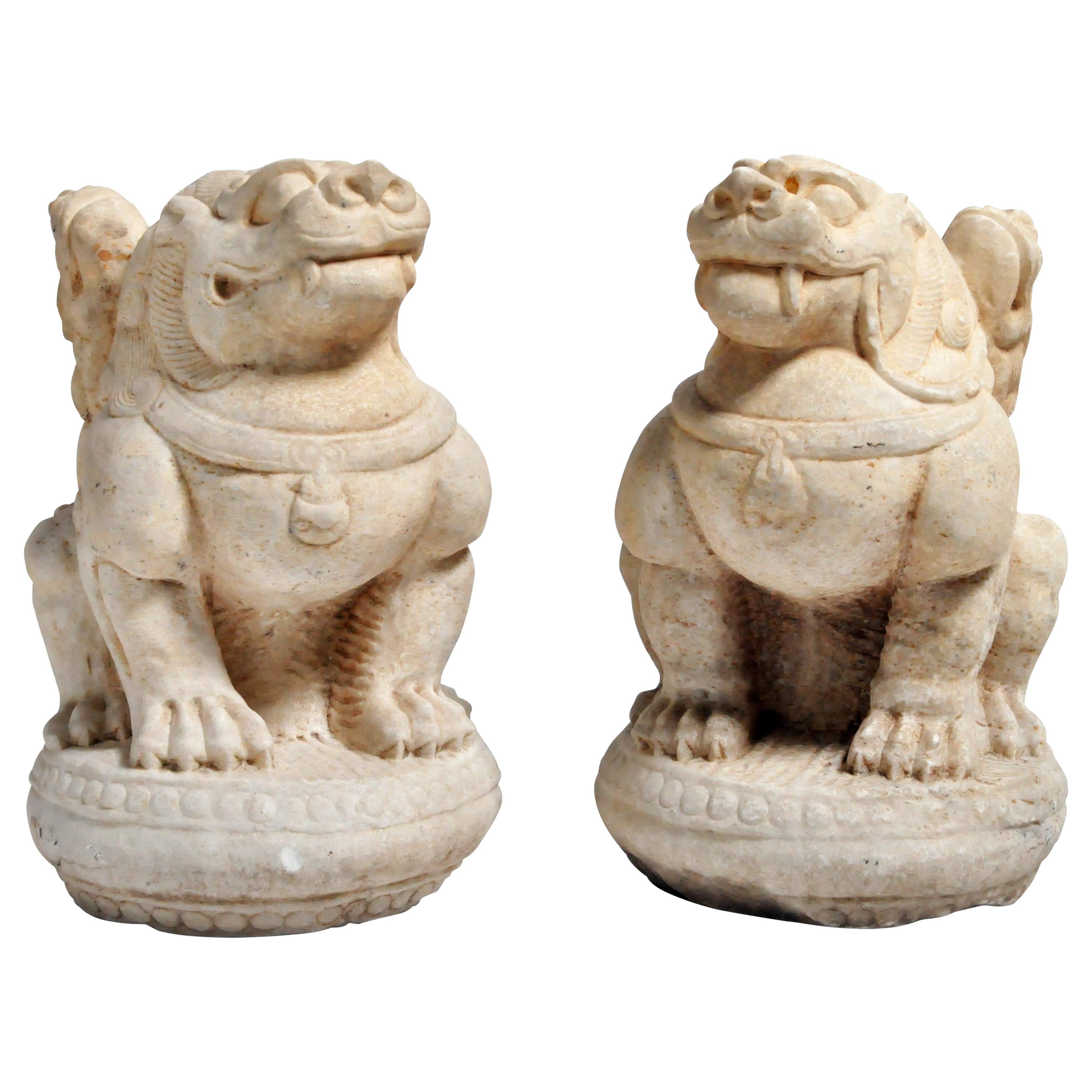 Pair of Carved Marble Fu Dogs on Pedestals