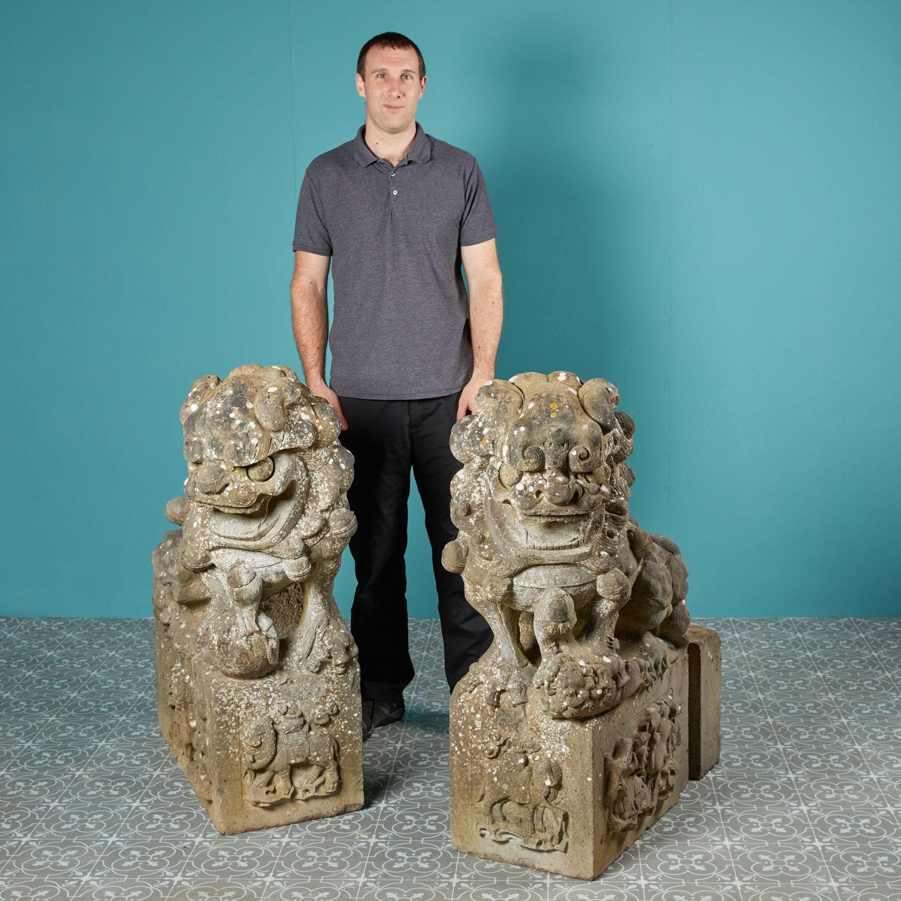 In Asian culture, the lion-like guardian lion or foo dog is a symbol of protection and guardianship. Beautifully carved into sandstone, this large pair of foo dog statues once flanked a great doorway. Associated with power and prosperity, detailed