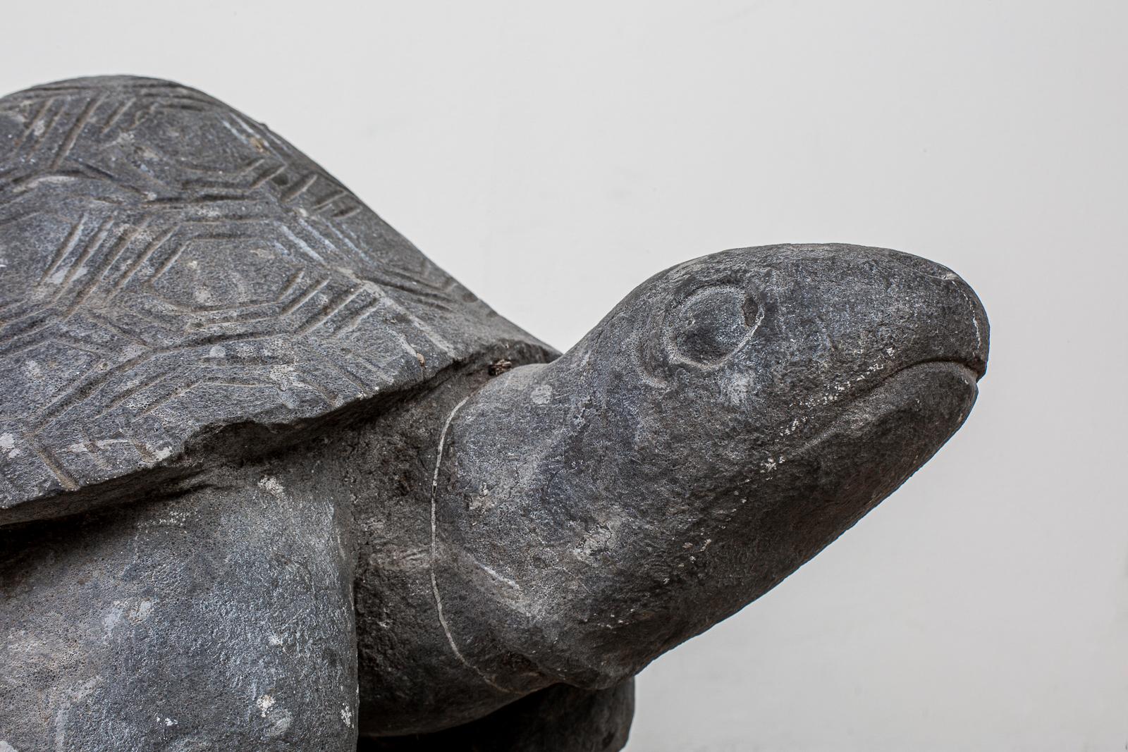 Pair of Carved Stone Turtle Sculptures 3