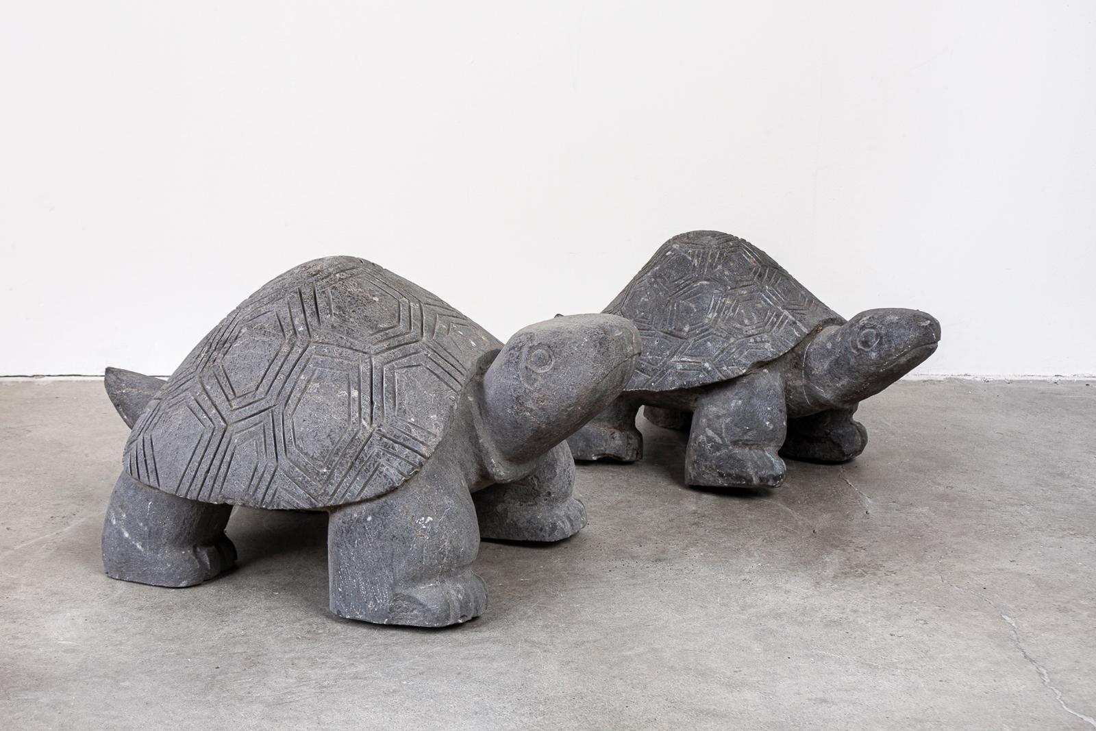 Pair of Carved Stone Turtle Sculptures 9