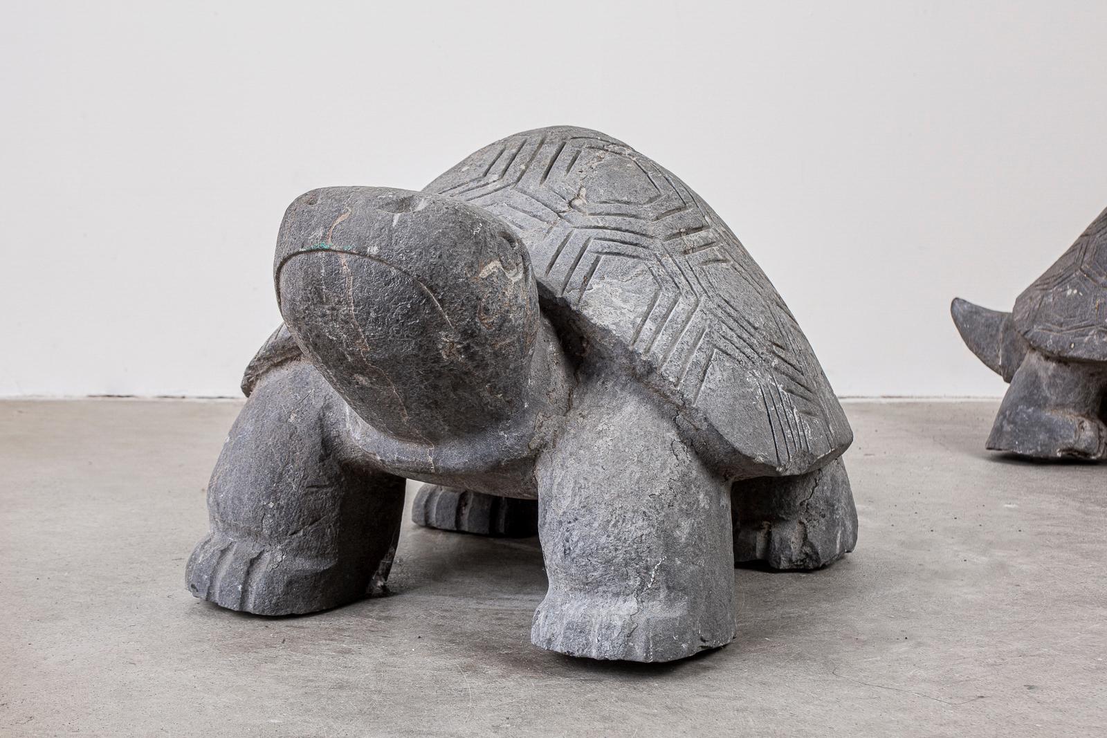 turtle sculptures for sale