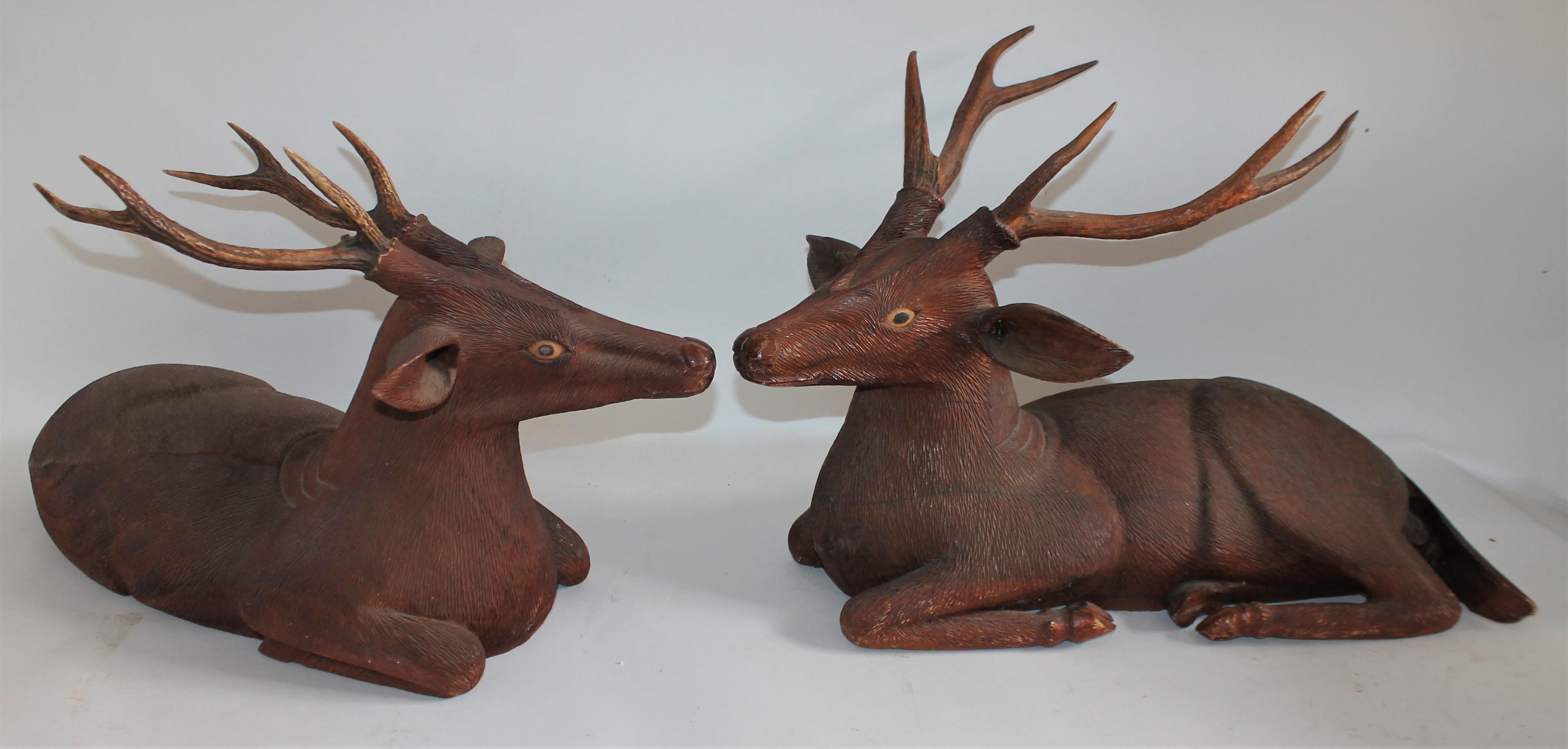 These hand carved walnut wood deer are in good condition with minor old repairs on legs or tail. The eyes are hand painted and original. The antlers are made or resin or something formed.

Shorter antler stag measures- 29 wide x 17 high x 14.5