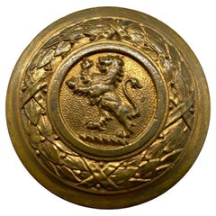 Pair of Cast Brass Lion Door Knobs