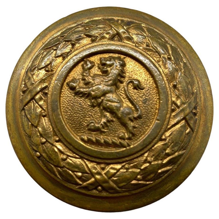 Pair of Cast Brass Lion Door Knobs For Sale at 1stDibs