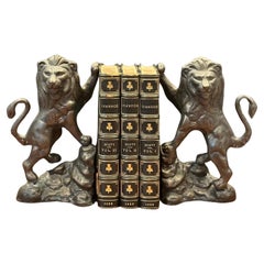 Pair of Cast Bronze Standing Lion Bookends