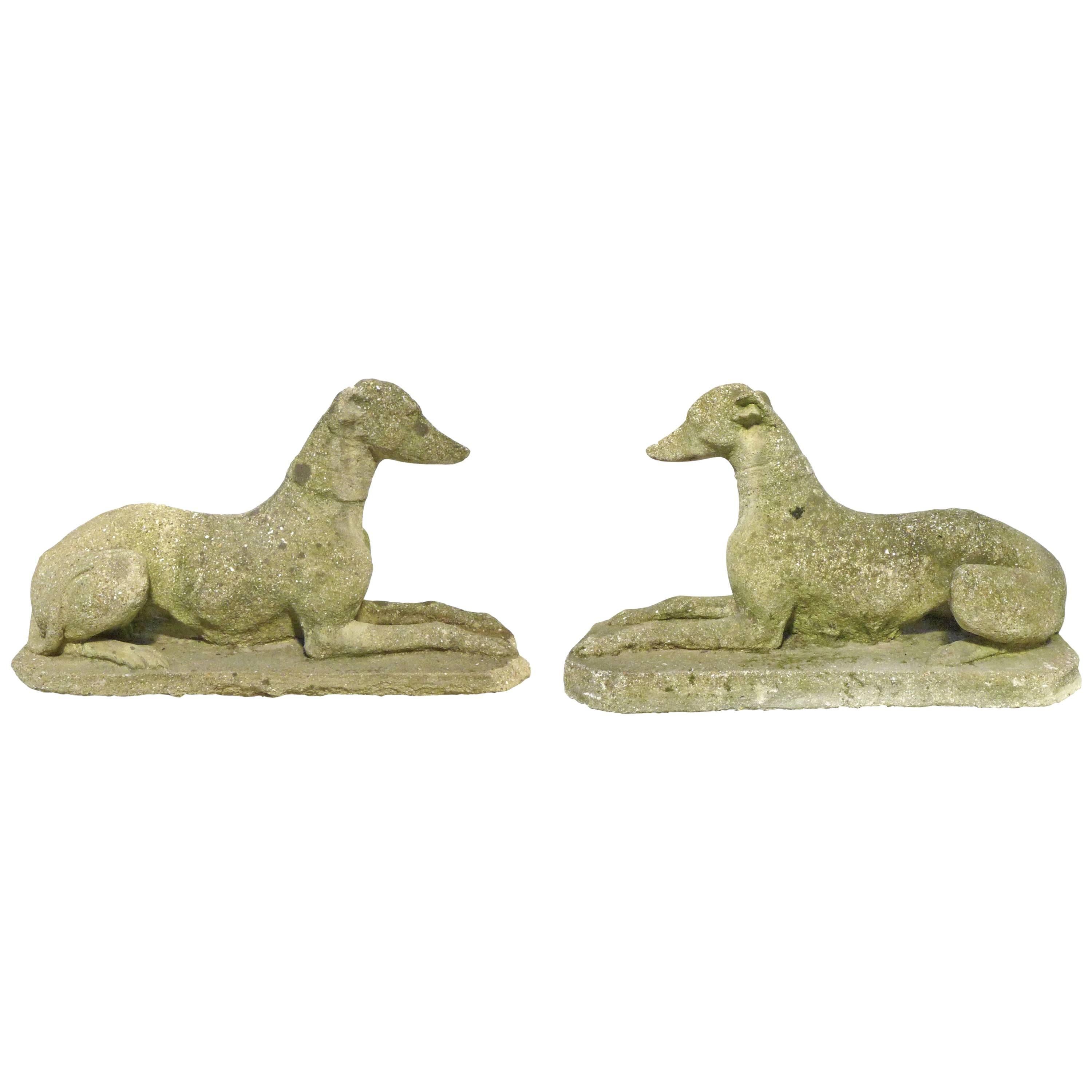 Pair of Cast Concrete Greyhound or Whippet Statues