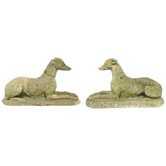 Pair of Cast Concrete Greyhound or Whippet Statues