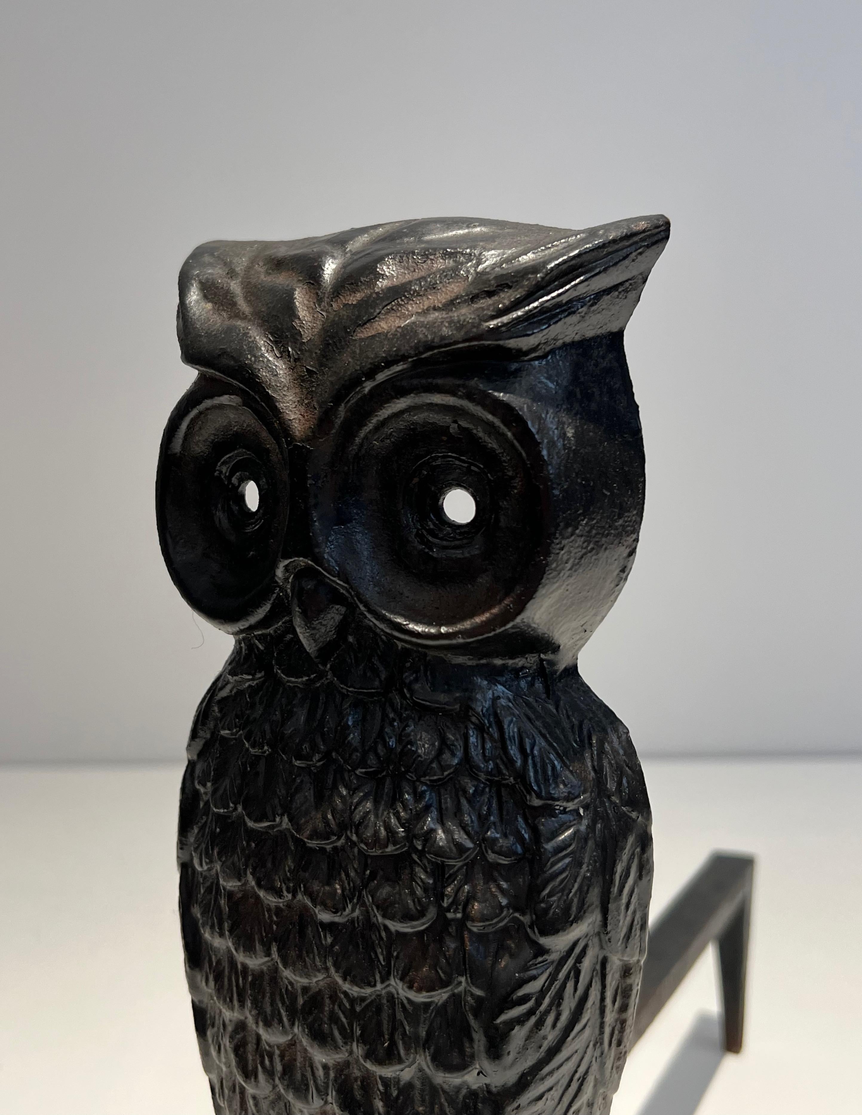 Pair of Cast Iron and Wrought Iron Andirons Showing an Owl For Sale 1