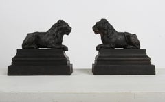 Pair of Cast Iron Andirons or Fire Dogs of Recumbent Lions Resting on Plinth