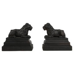 Pair of Cast Iron Andirons or Fire Dogs of Recumbent Lions Resting on Plinth