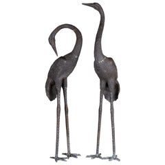 Pair of Cast Iron Cranes in Verdi Finish
