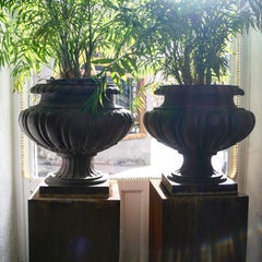 Pair of Cast Iron French 19th Century Garden Urns