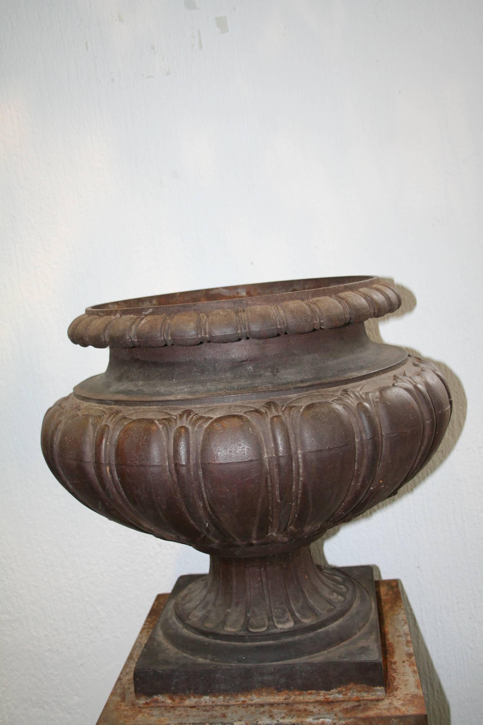 Pair of Cast Iron French 19th Century Garden Urns For Sale 1