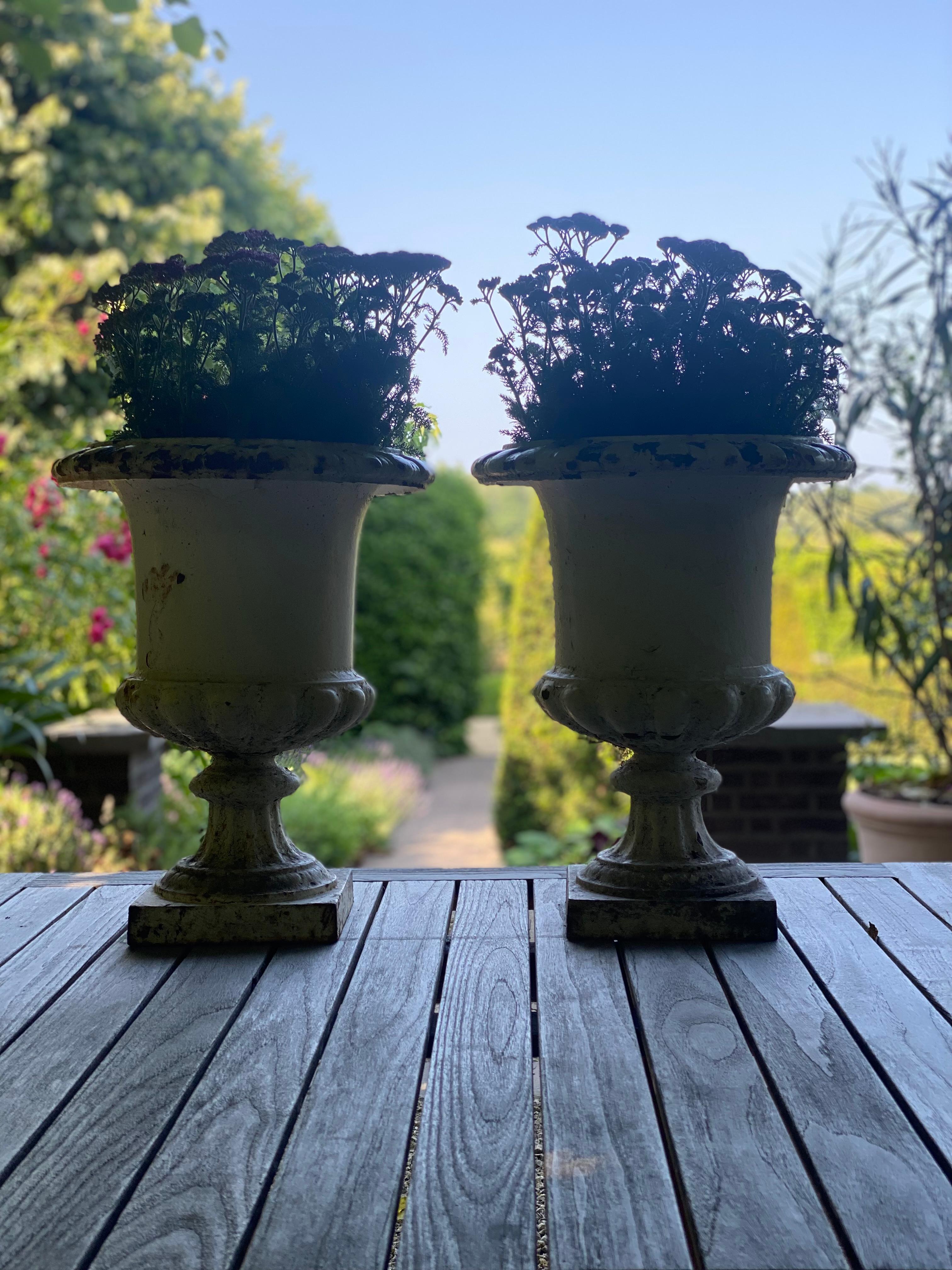 Pair of Cast Iron Garden Urns For Sale 7