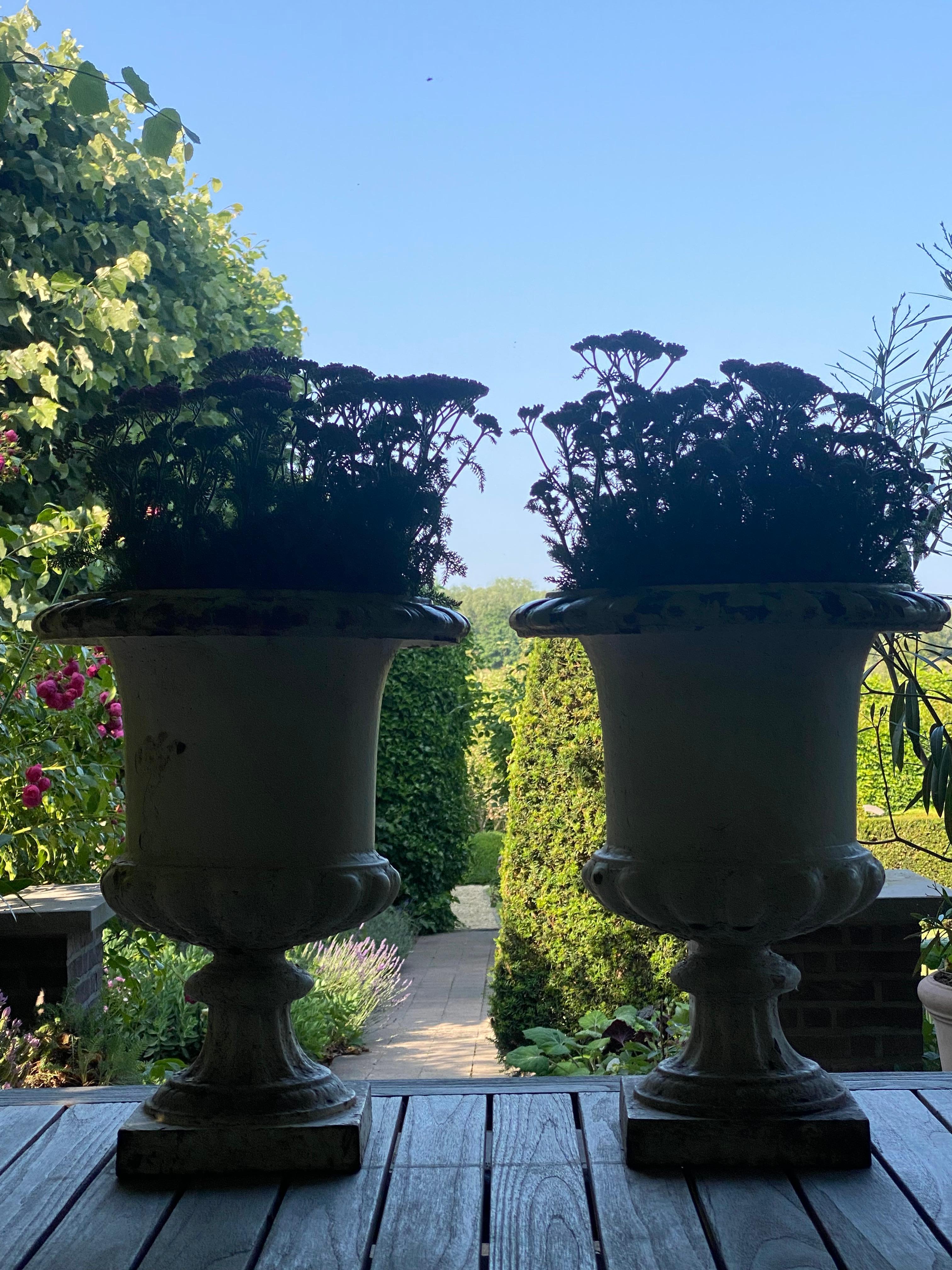 Pair of Cast Iron Garden Urns For Sale 8