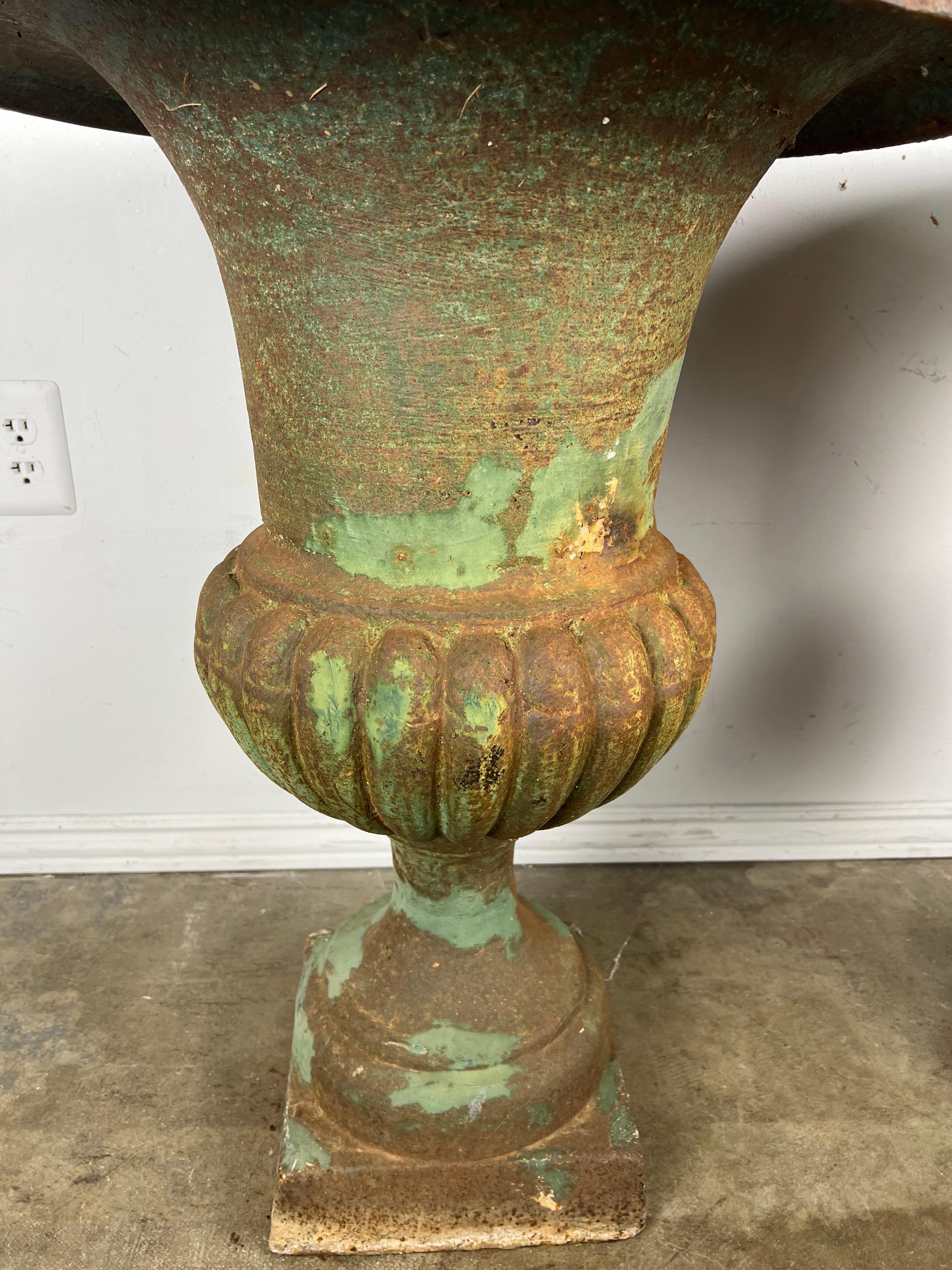 Pair of Cast Iron Italian Urns For Sale 6