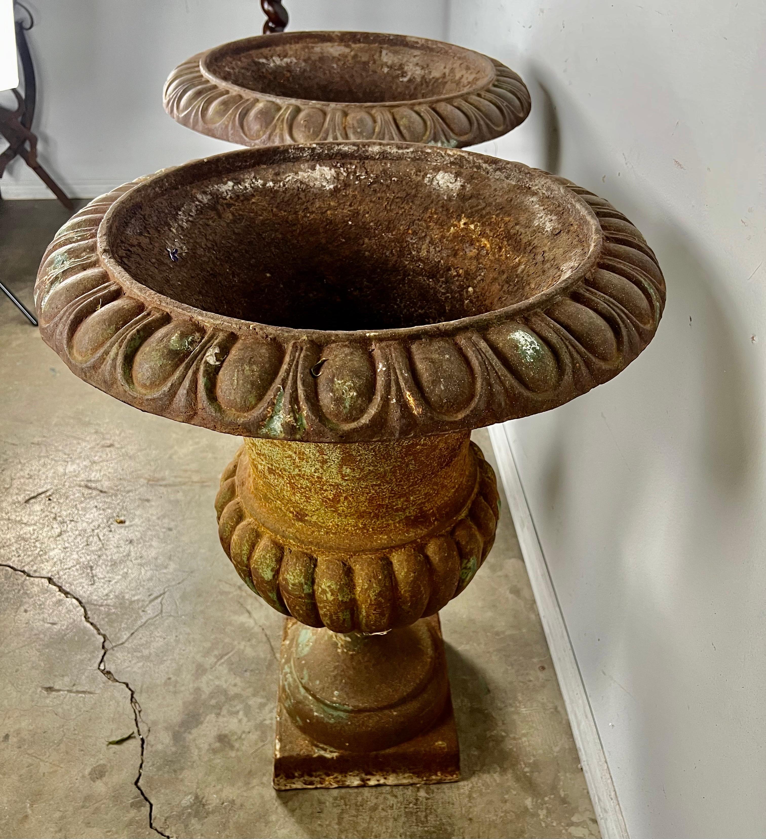 Pair of Cast Iron Italian Urns For Sale 11