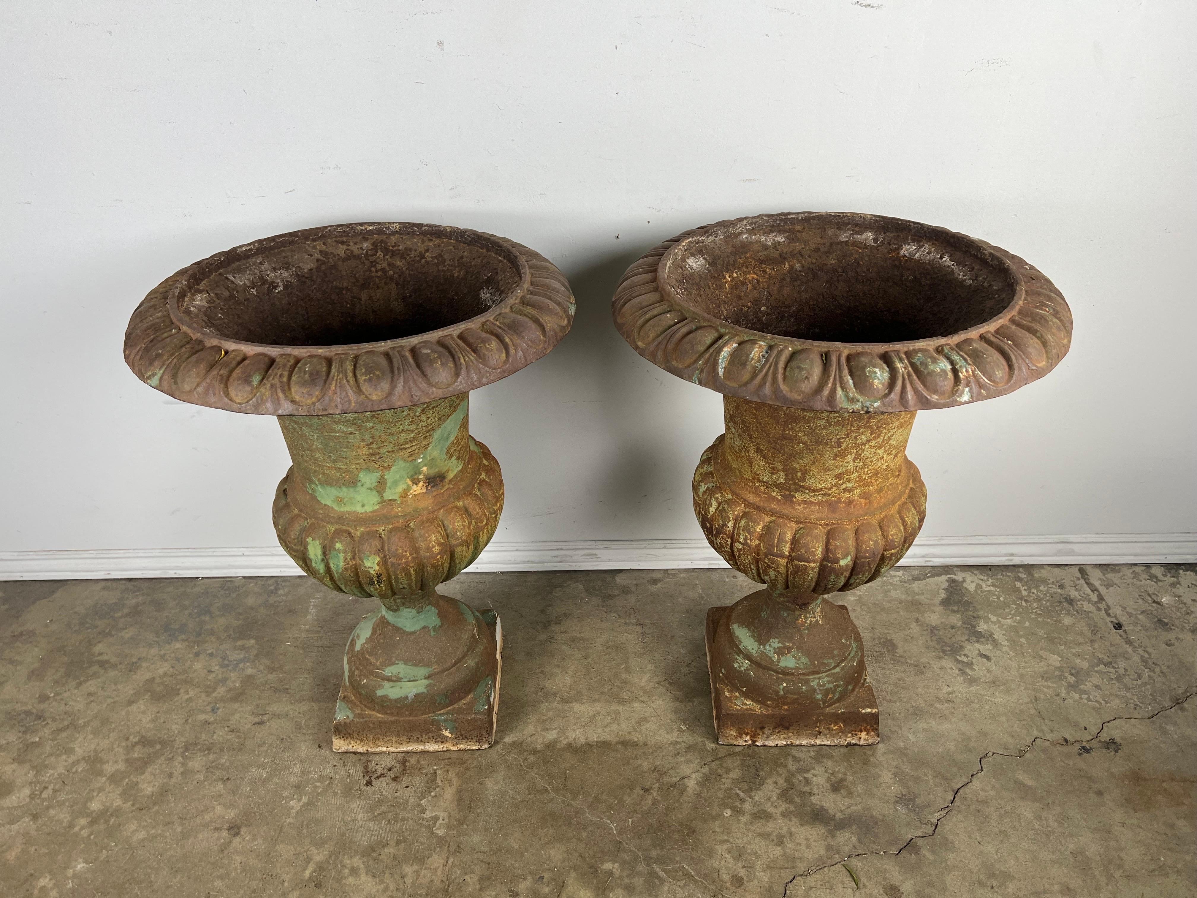 Classical Roman Pair of Cast Iron Italian Urns For Sale