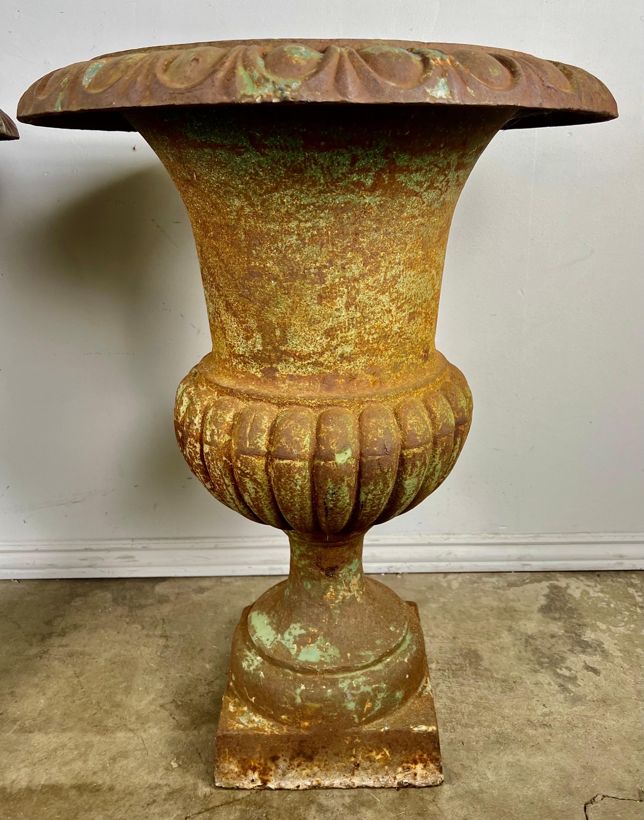 Pair of Cast Iron Italian Urns For Sale 1