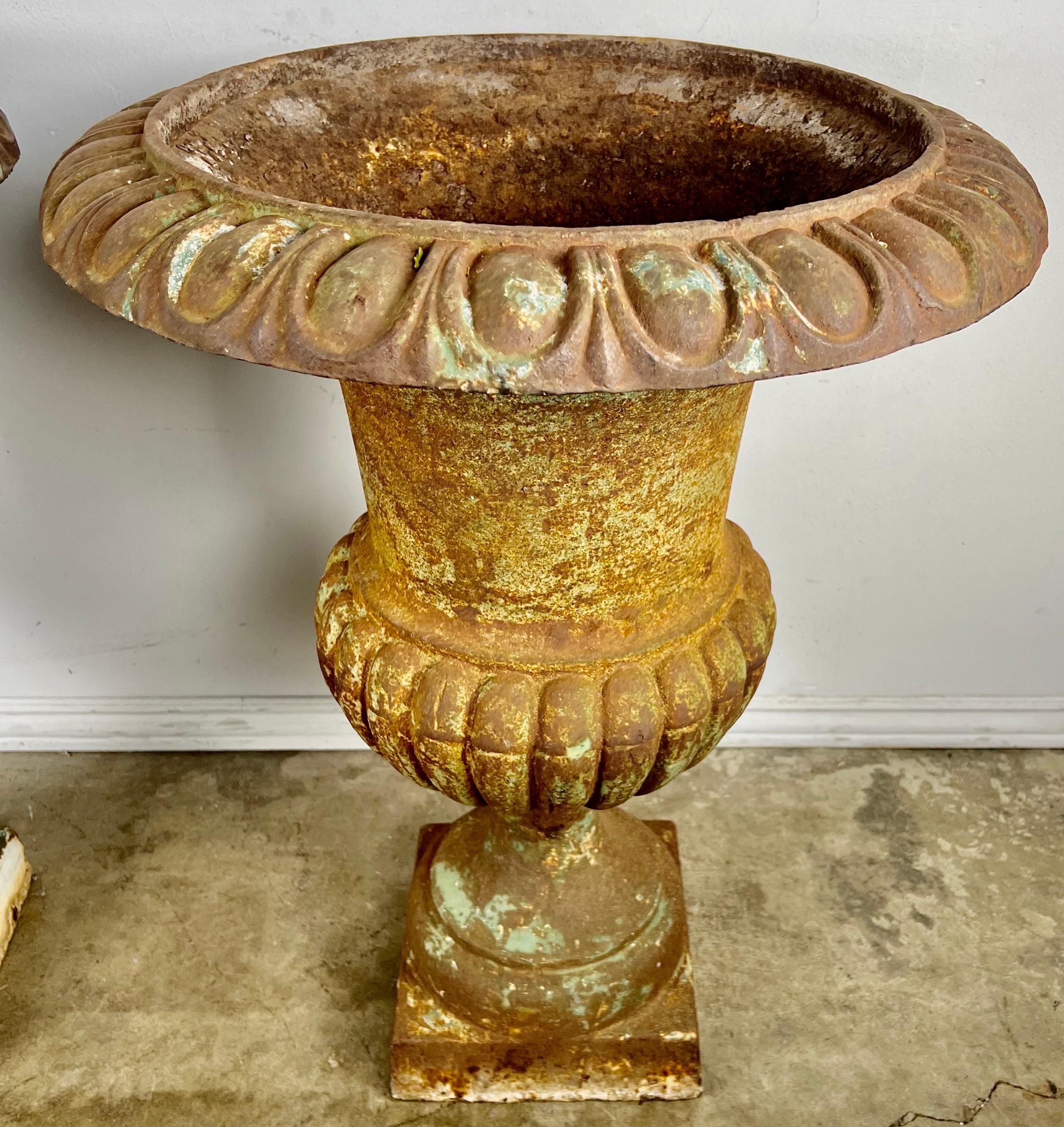 Pair of Cast Iron Italian Urns For Sale 2