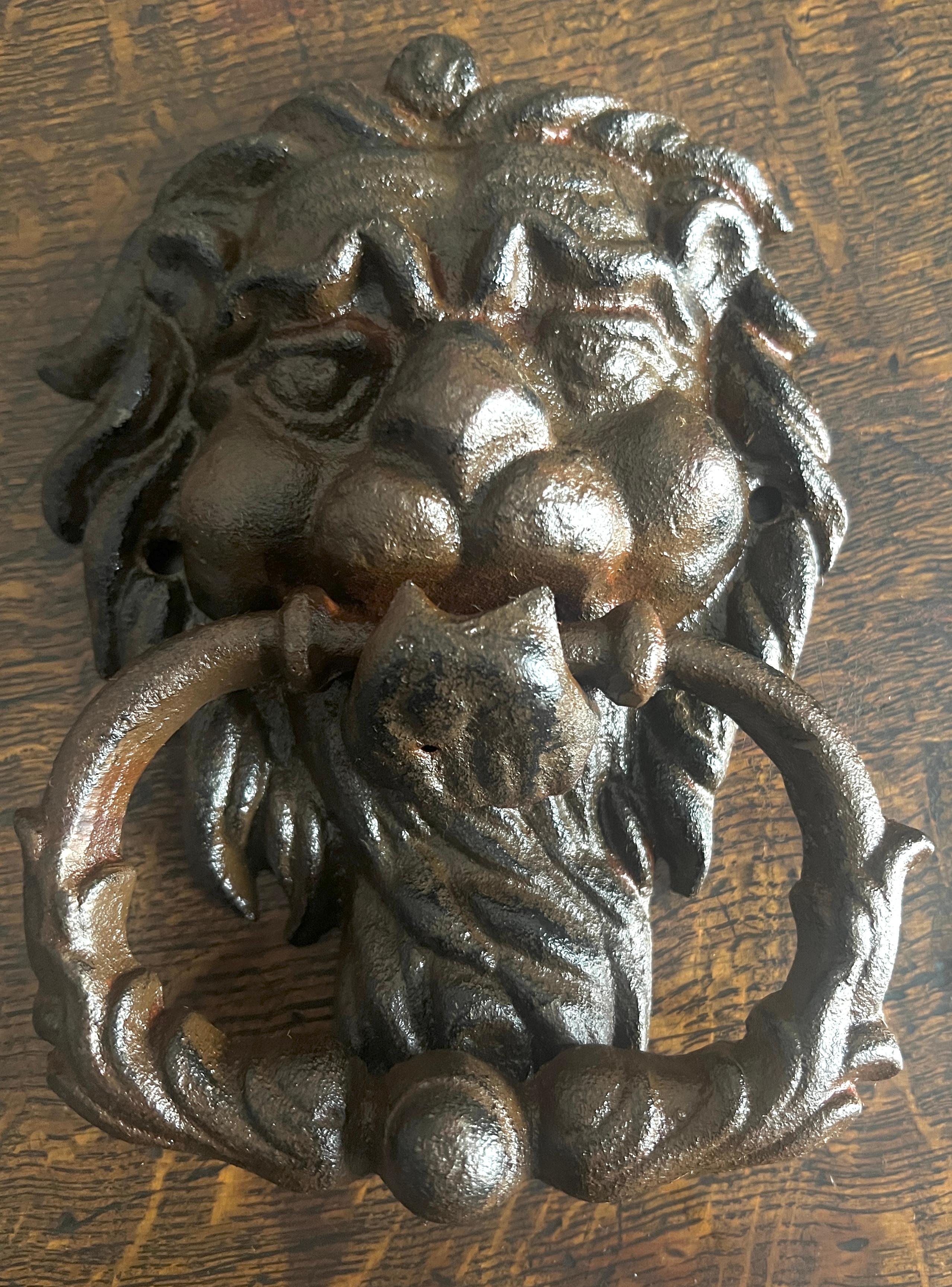 Coppia di battenti per porte con leoni in ghisa in vendita 2