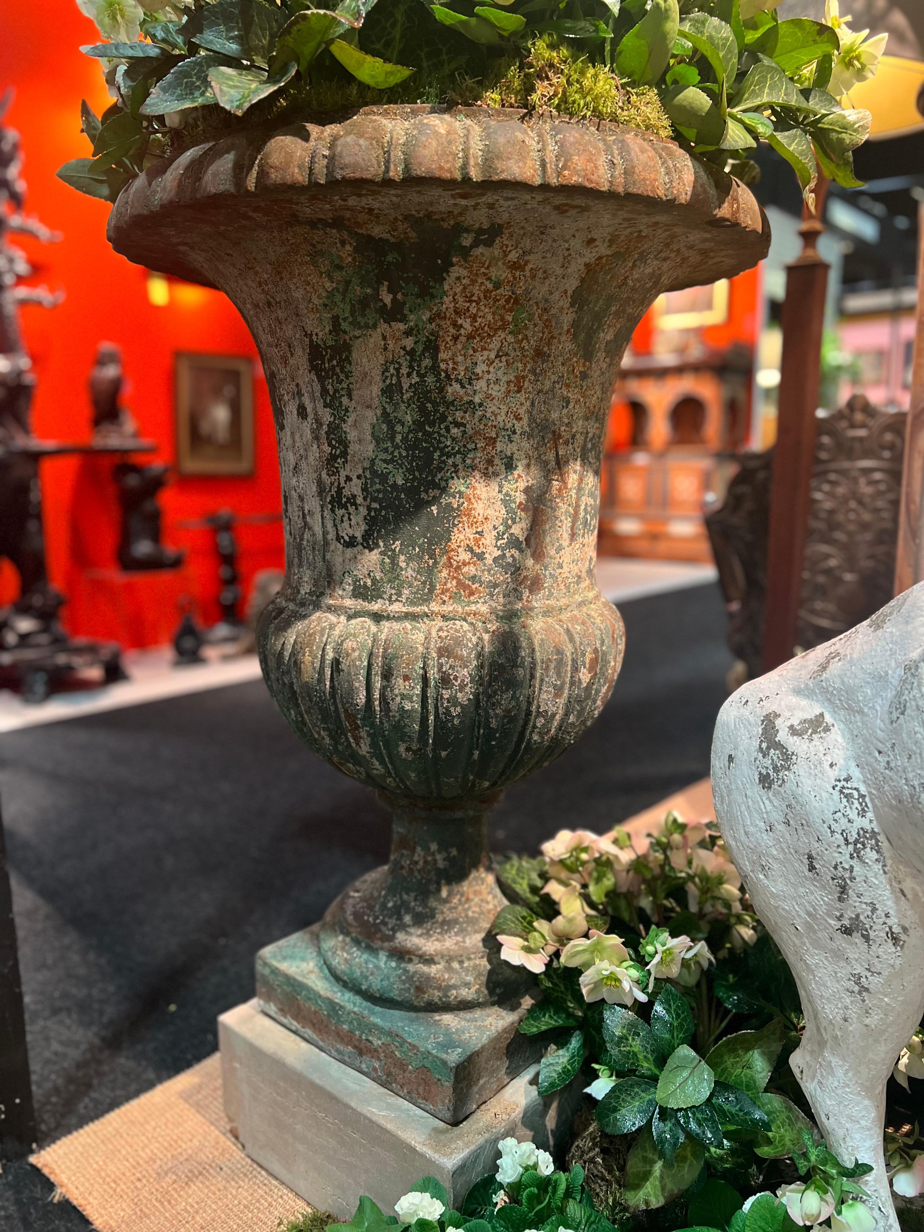 Fabriquée en fonte avec une exquise patine verte vieillie, cette paire exceptionnelle de vases Médicis mesure 110 cm de haut et 71 cm de large. Leurs nobles proportions et leur beauté usée par le temps en font une pièce d'apparat frappante pour tout