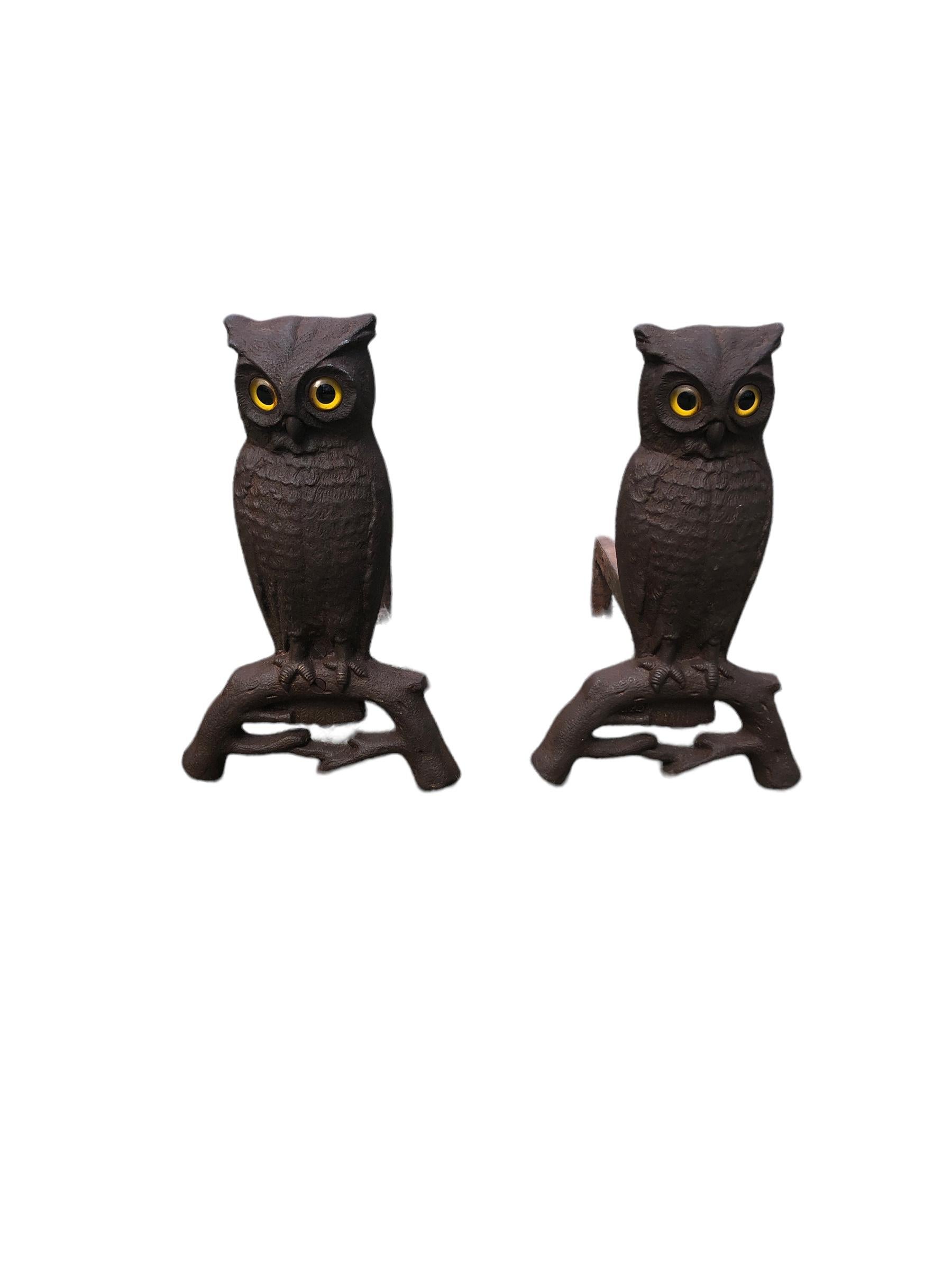 Early 20th Century Pair of Cast Iron Owl Andirons with Glass Eyes For Sale