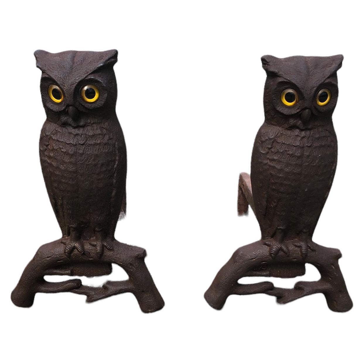 Pair of Cast Iron Owl Andirons with Glass Eyes For Sale