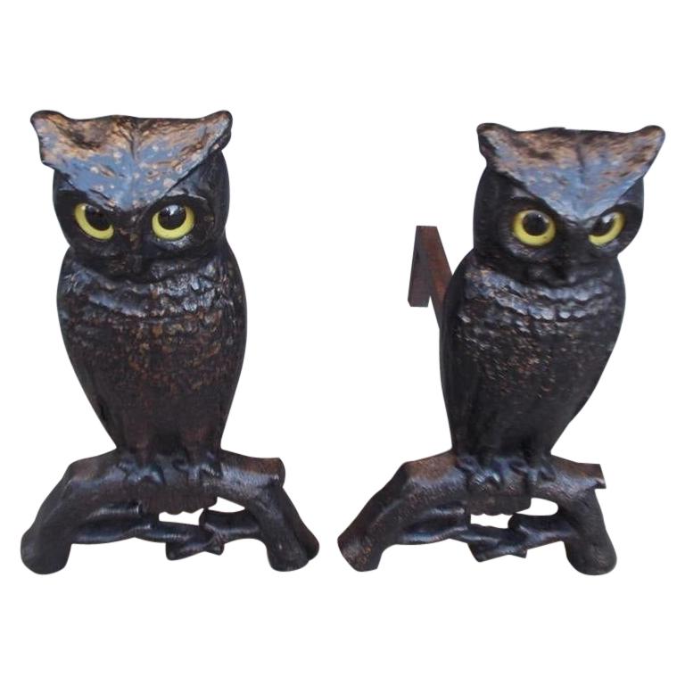 Pair of Cast Iron Perched Owl Andirons with Original Glass Eyes, Boston, C. 1890