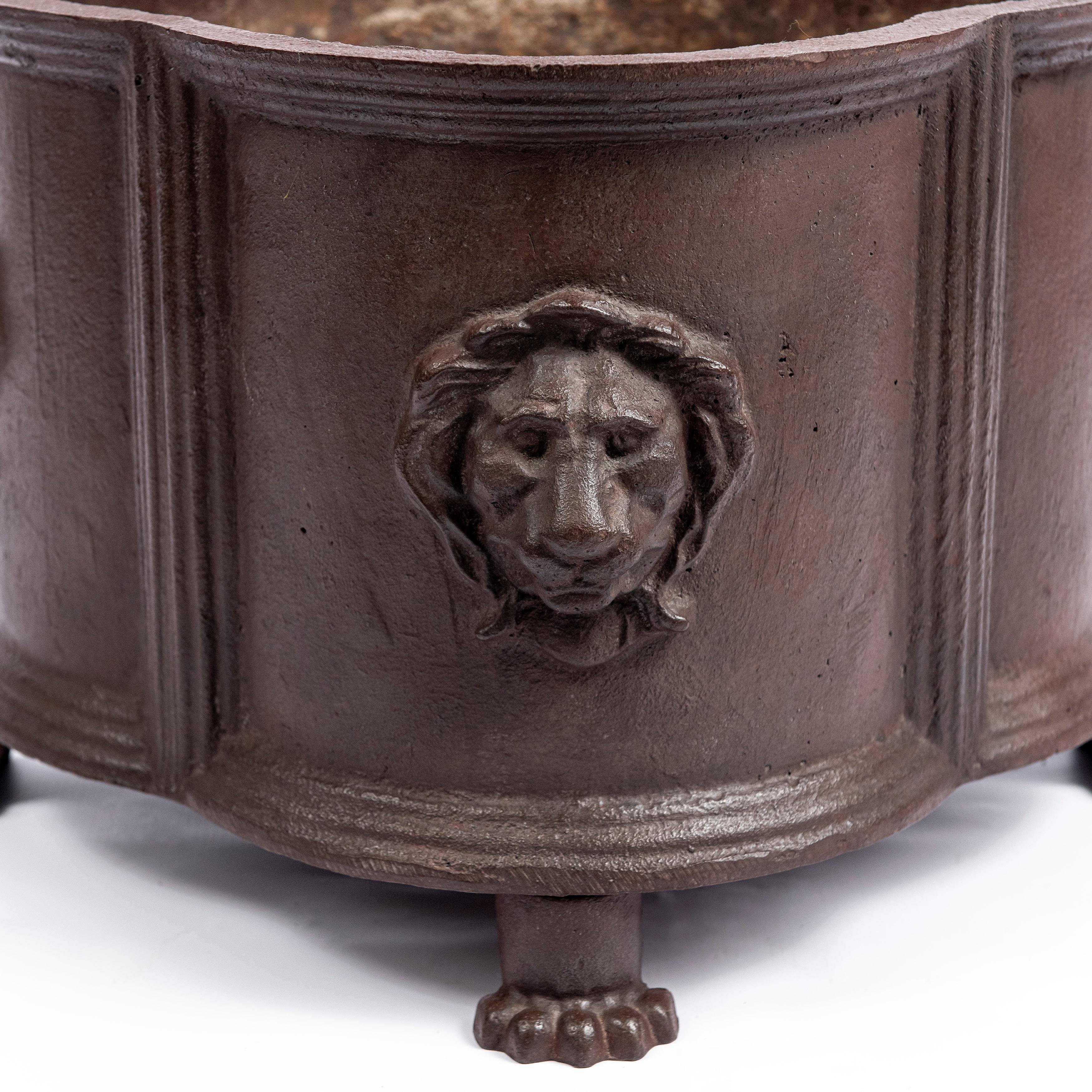 English Pair of Cast Iron Planters, England, Late 19th Century For Sale