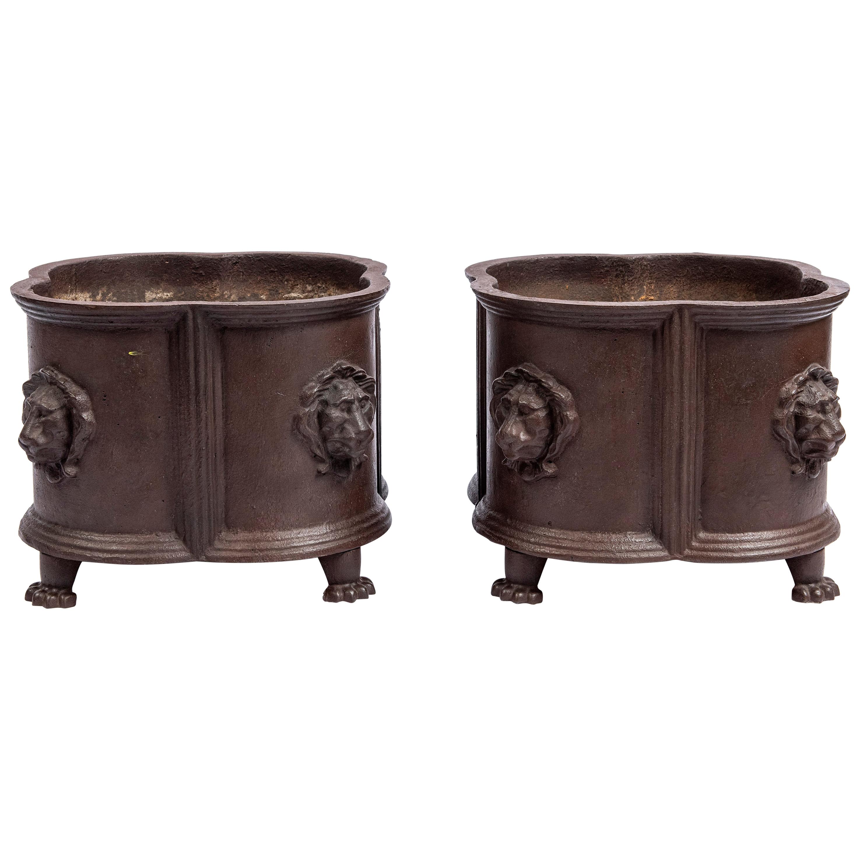 Pair of Cast Iron Planters, England, Late 19th Century For Sale