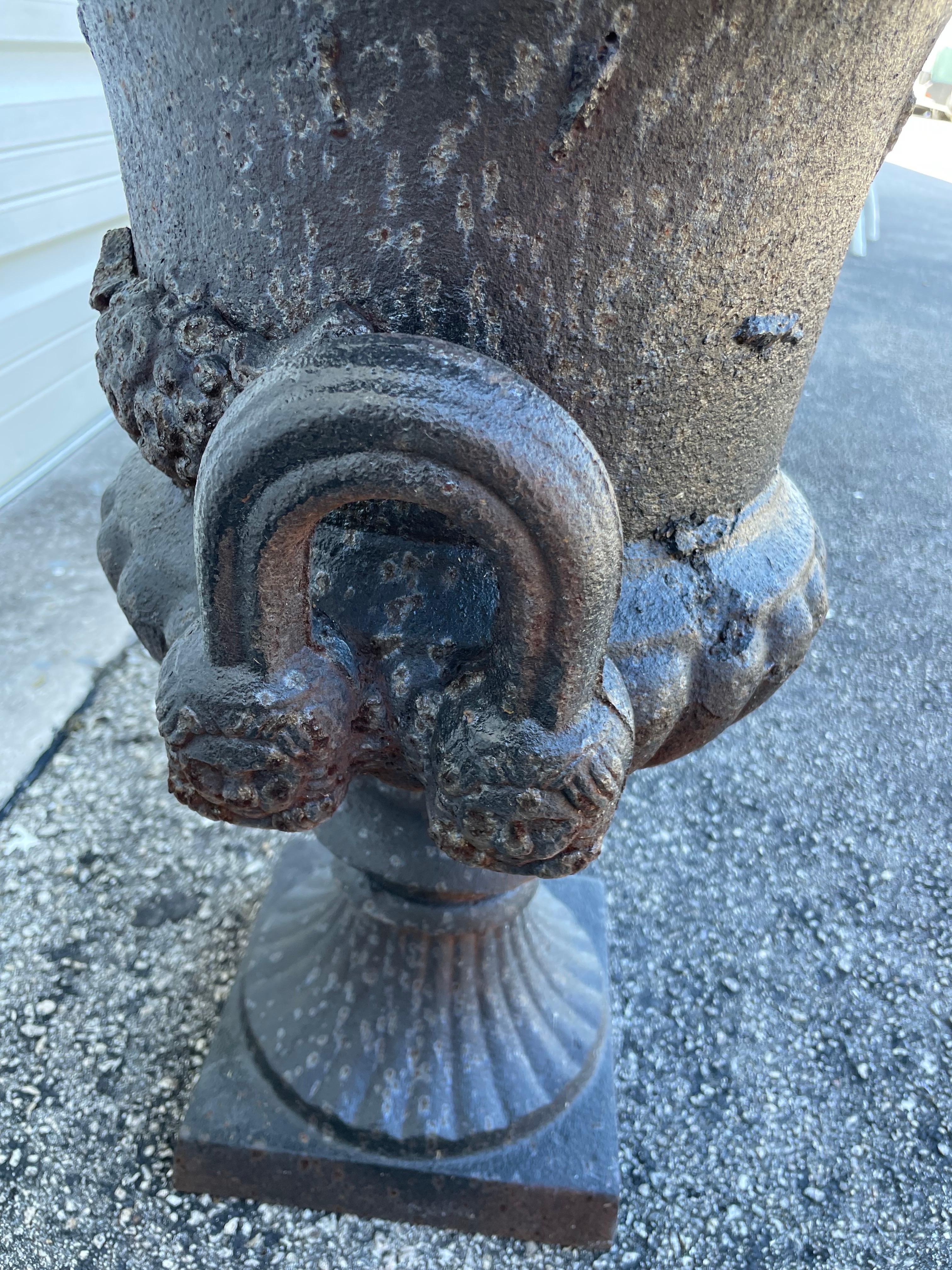 Coppia di fioriere a forma di urna in ghisa in vendita 4