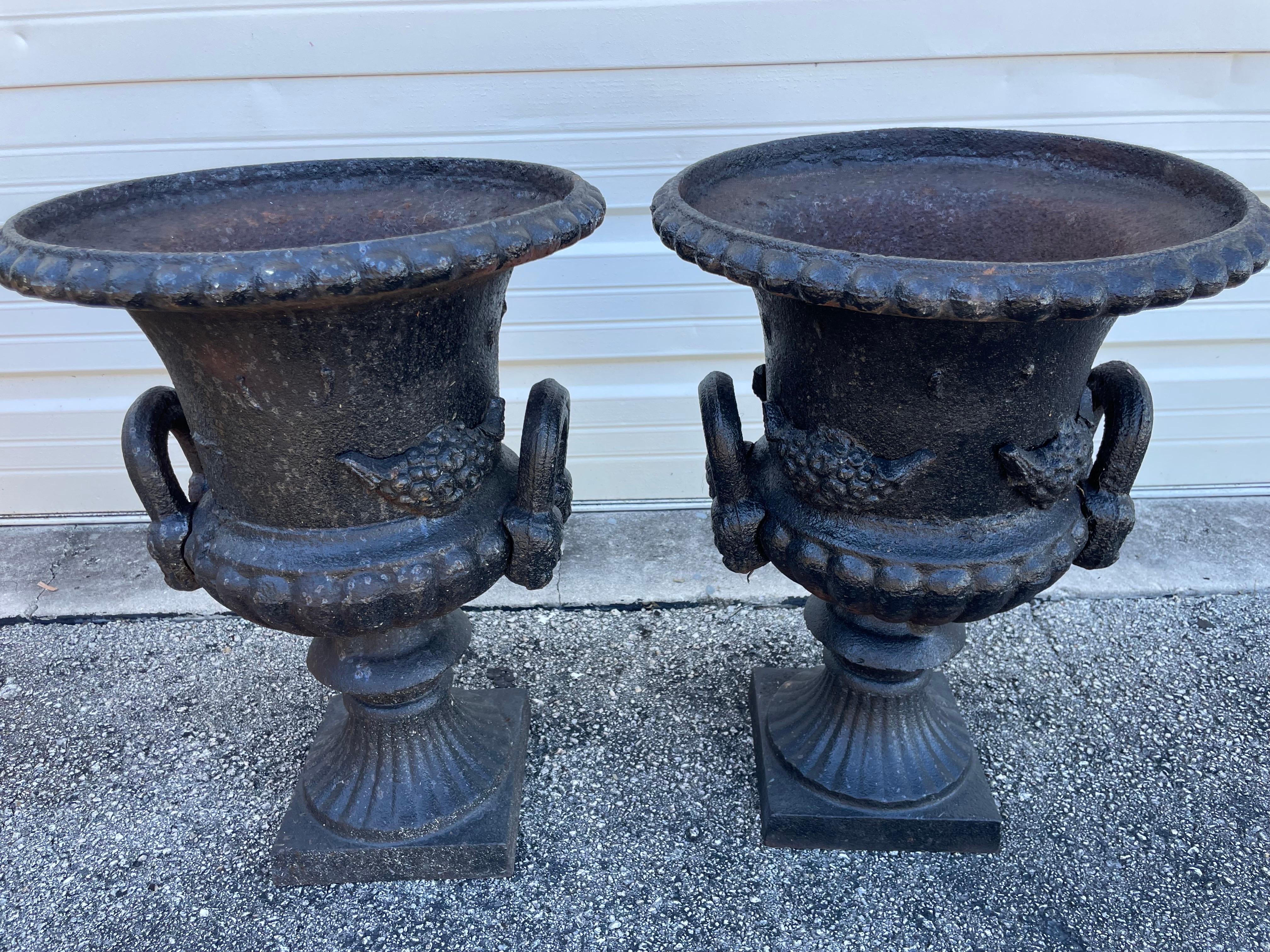 Coppia di fioriere a forma di urna in ghisa in vendita 5